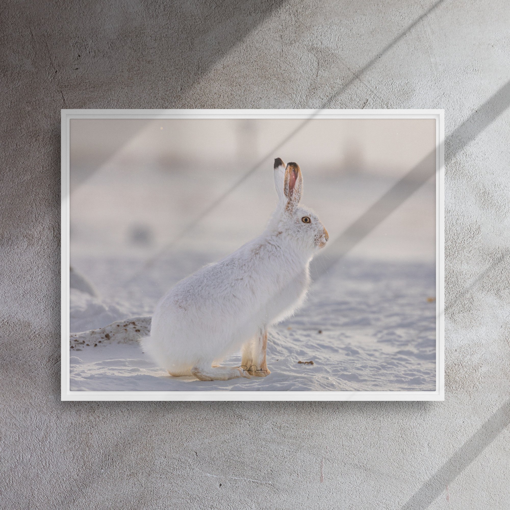 framed-canvas-(in)-white-24x32-front-67d23a2c0614e.jpg