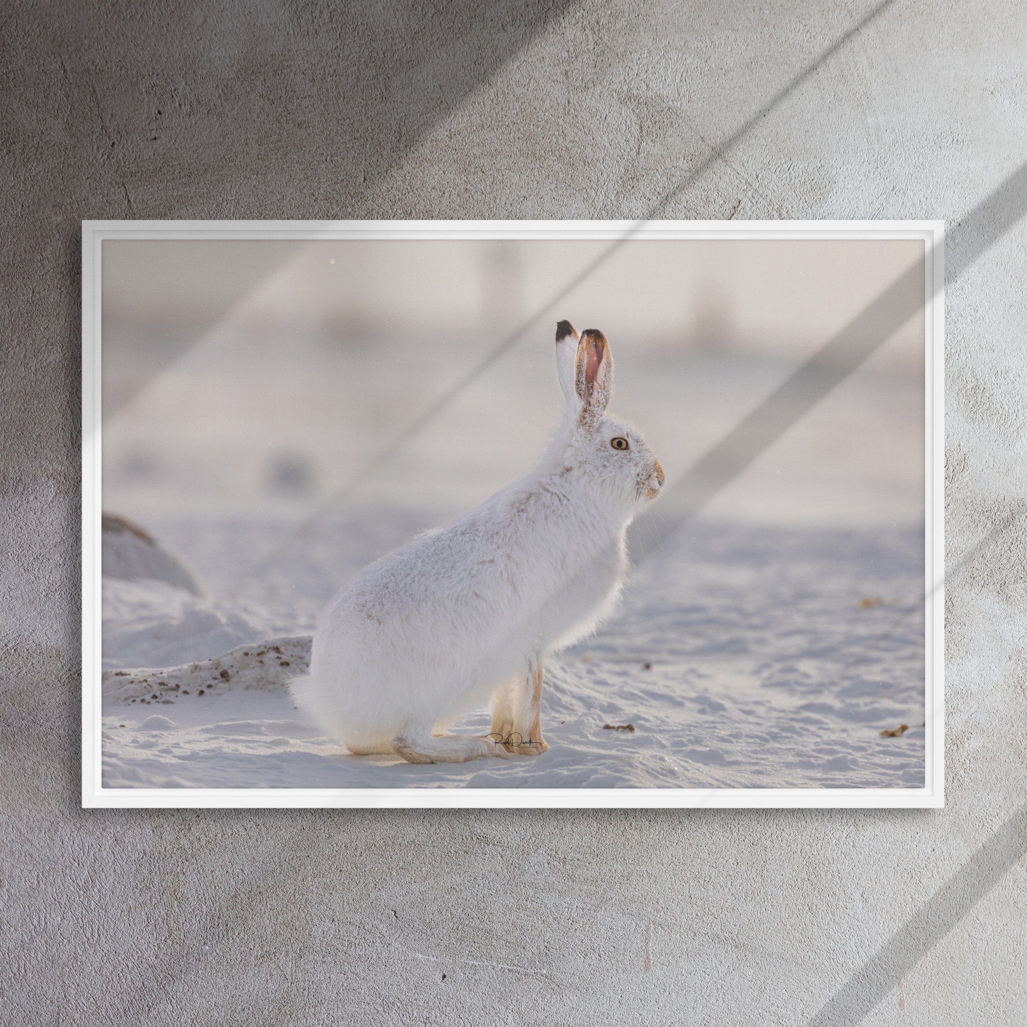 framed-canvas-(in)-white-24x36-front-67d23a2c061d0.jpg