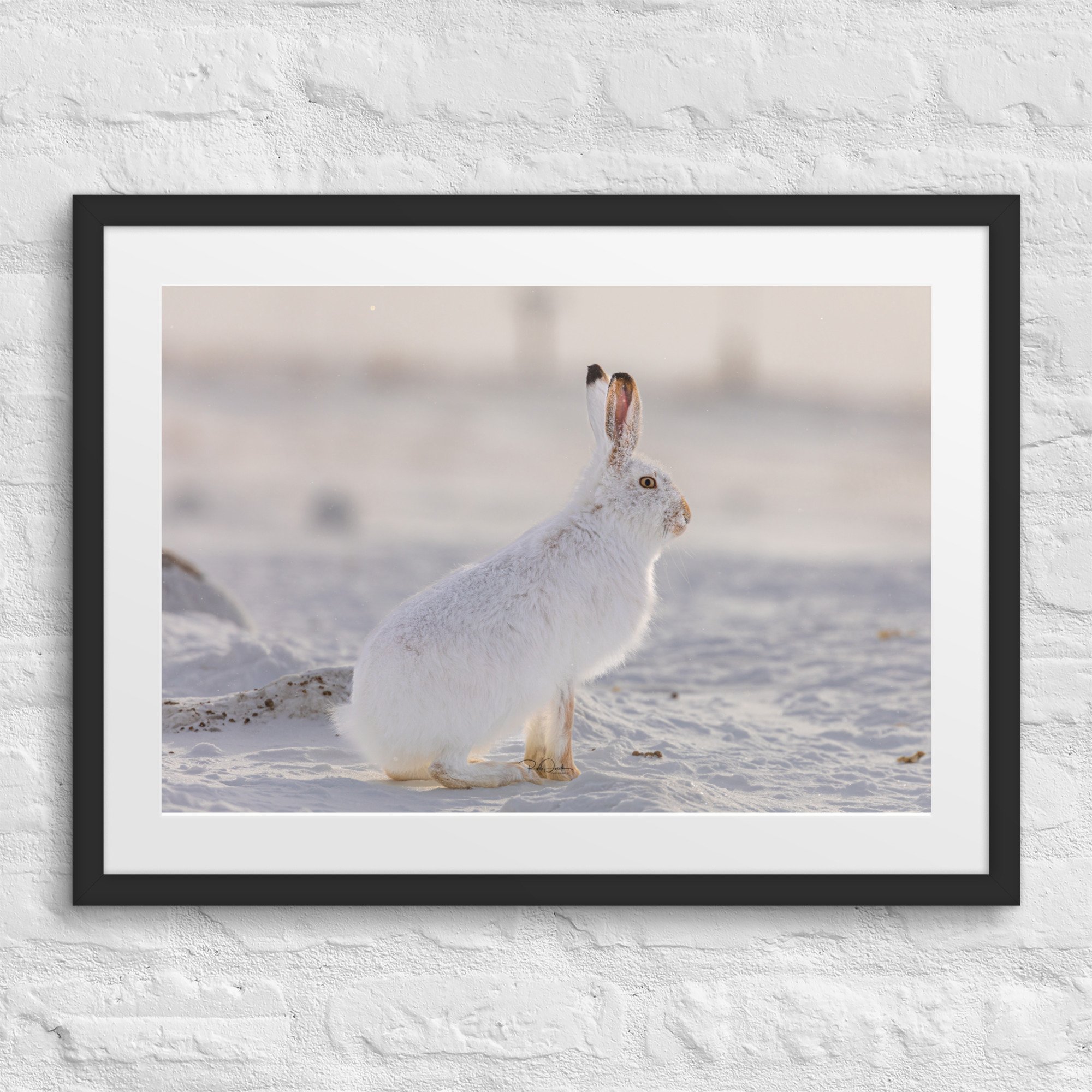 matte-paper-framed-poster-with-mat-(in)-black-18x24-front-67d23f5676da3.jpg