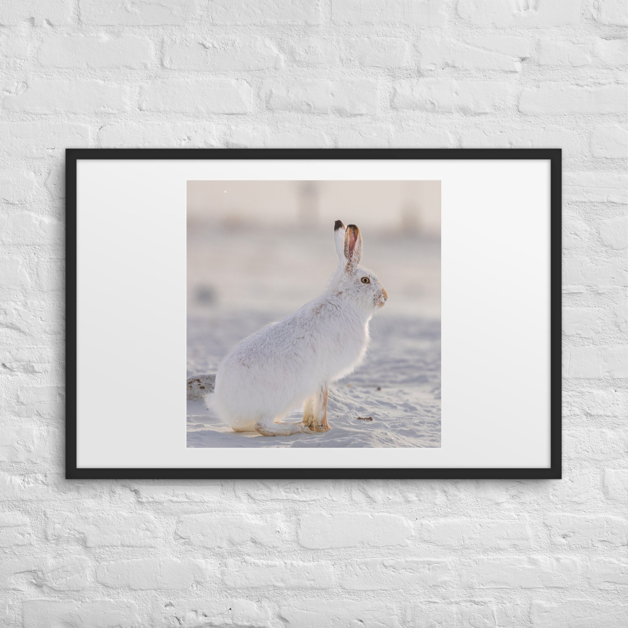 matte-paper-framed-poster-with-mat-(in)-black-24x36-front-67d23f5676de6.jpg