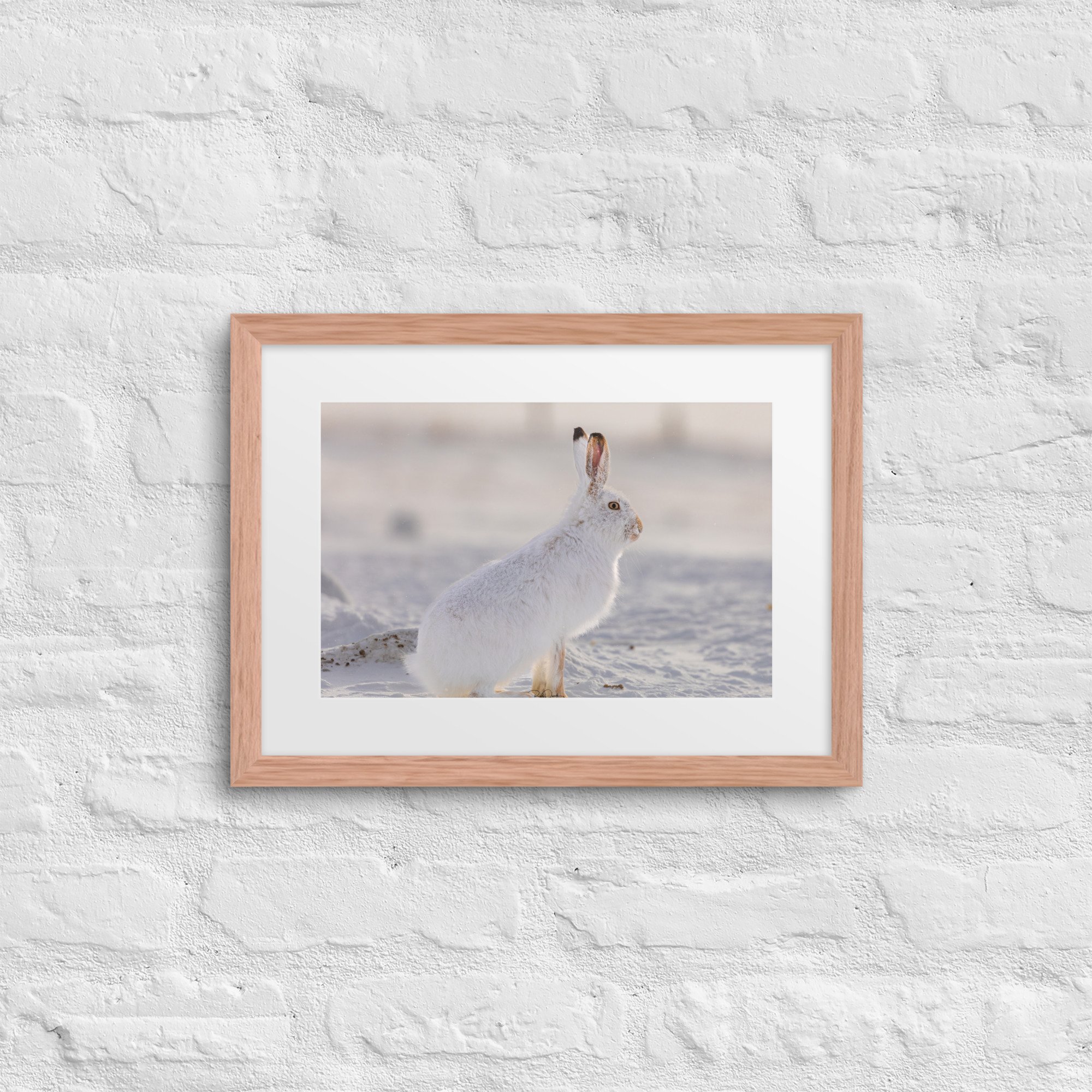 matte-paper-framed-poster-with-mat-(in)-red-oak-12x16-front-67d23f5676e27.jpg