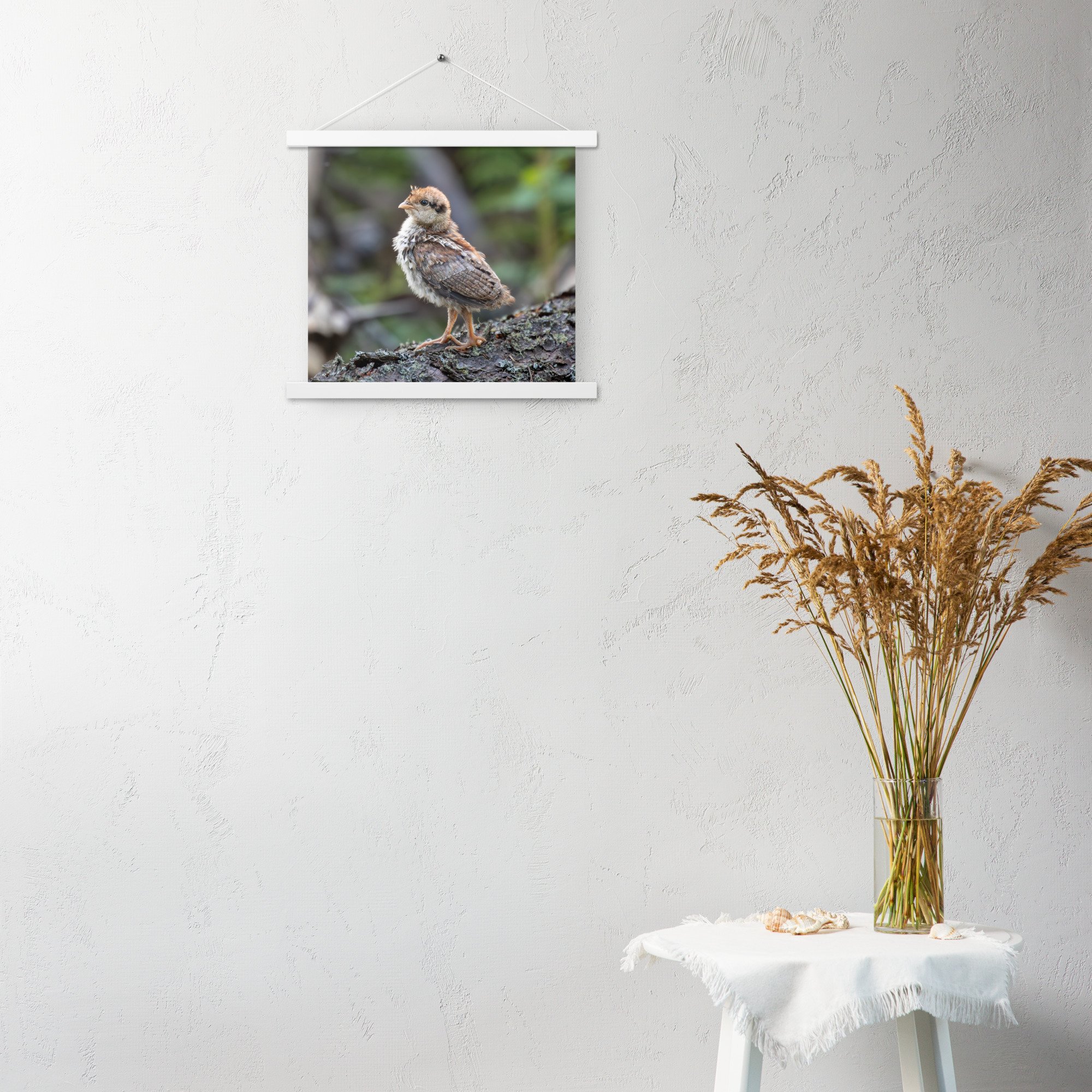 enhanced-matte-paper-poster-with-hanger-(in)-white-14x14-front-67d35ee444ed8.jpg
