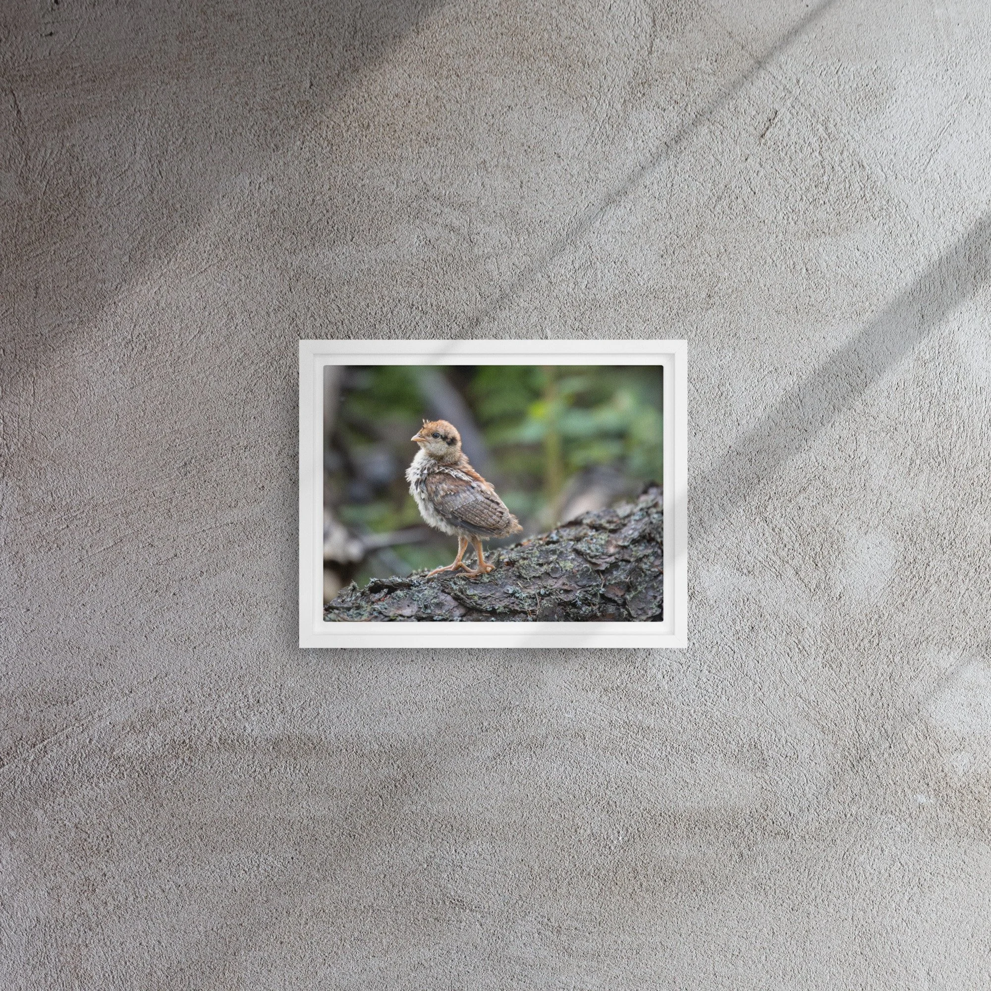 framed-canvas-(in)-white-9x12-front-67d366216ff73.jpg