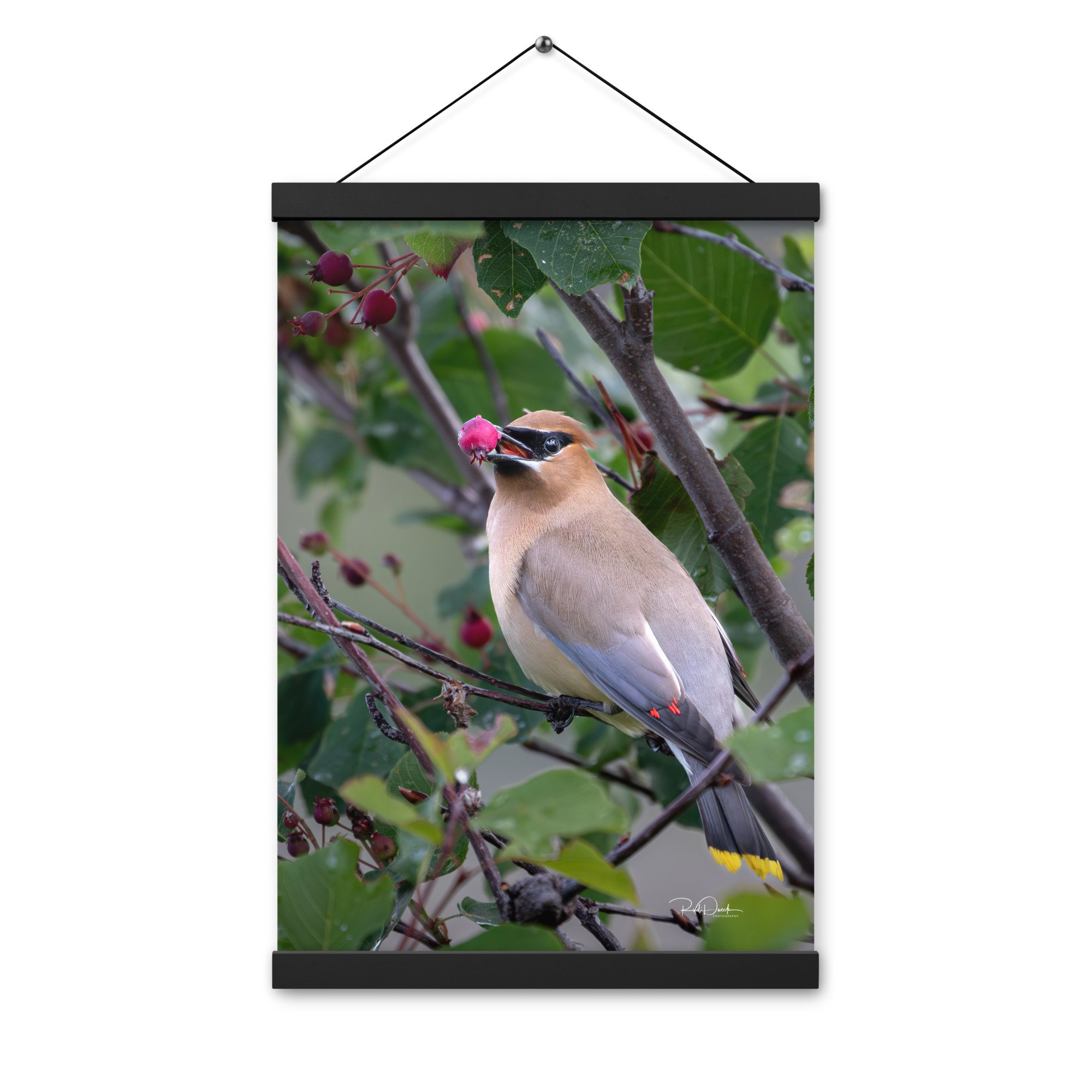 enhanced-matte-paper-poster-with-hanger-(in)-black-12x18-front-67d73d7744716.jpg