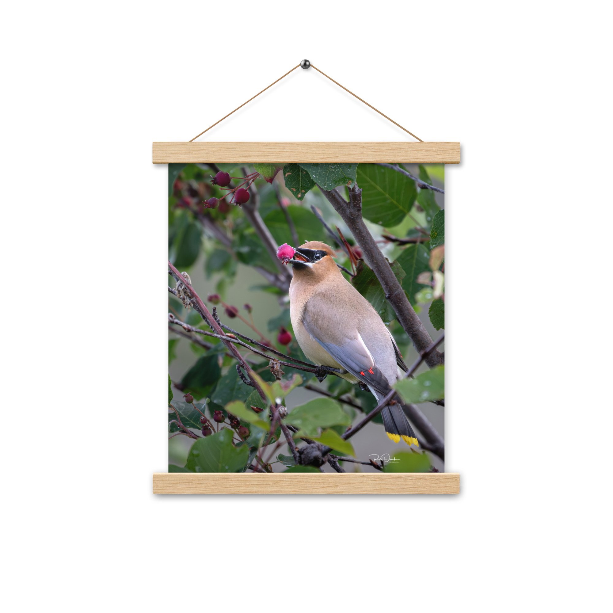 enhanced-matte-paper-poster-with-hanger-(in)-oak-11x14-front-67d73d77455d2.jpg