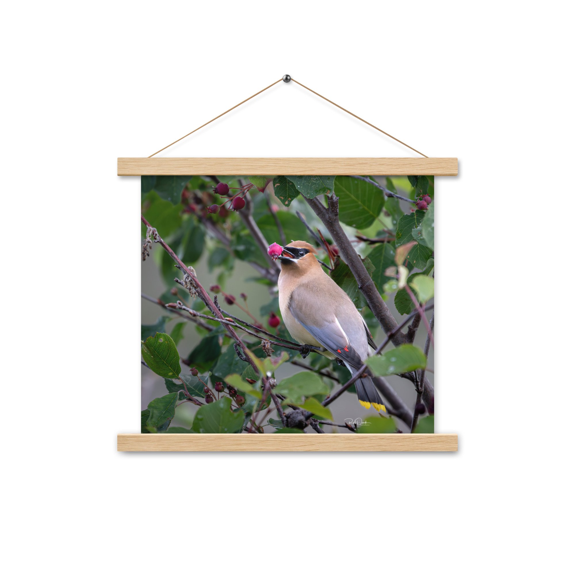 enhanced-matte-paper-poster-with-hanger-(in)-oak-14x14-front-67d73d7745871.jpg