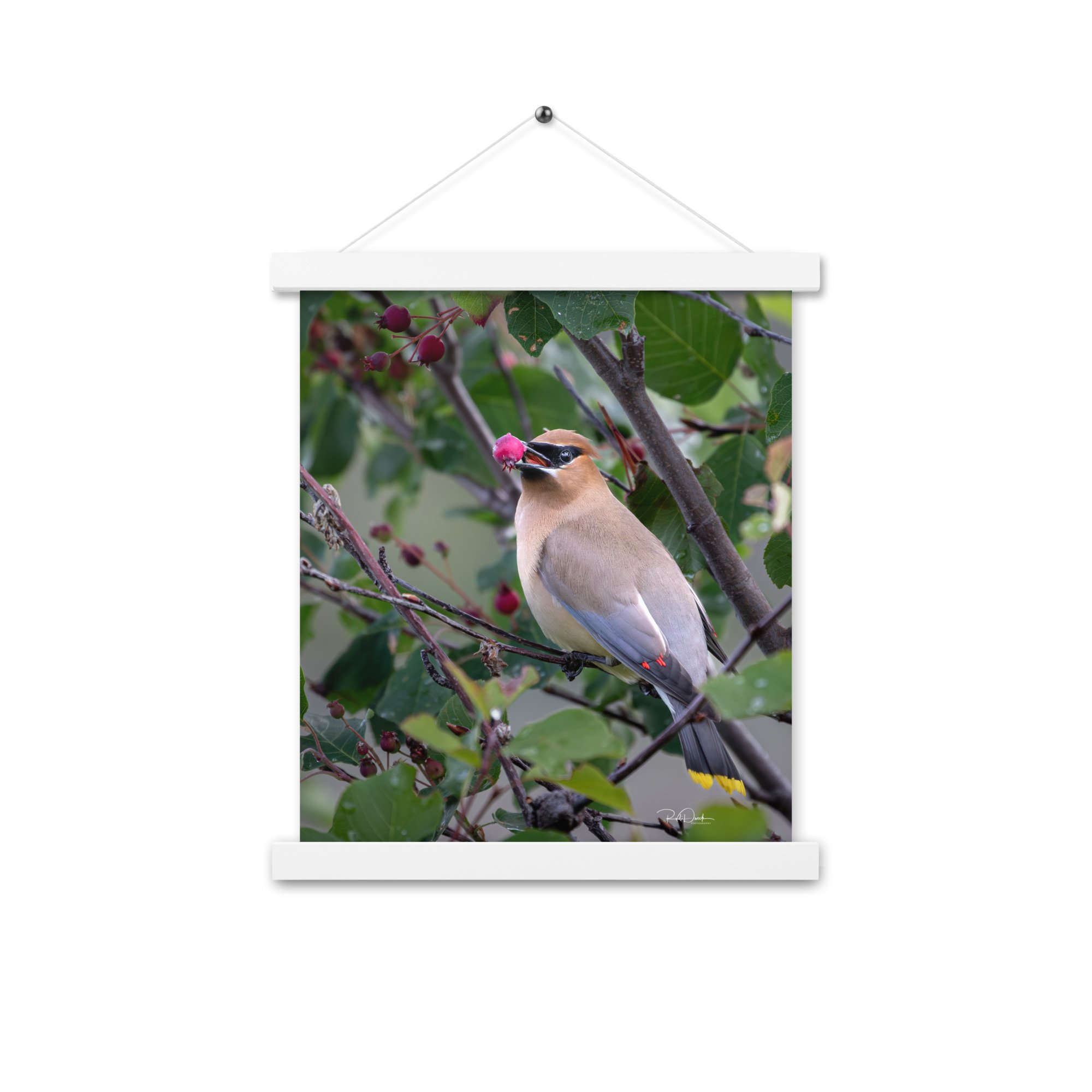 enhanced-matte-paper-poster-with-hanger-(in)-white-11x14-front-67d73d7745d8b.jpg