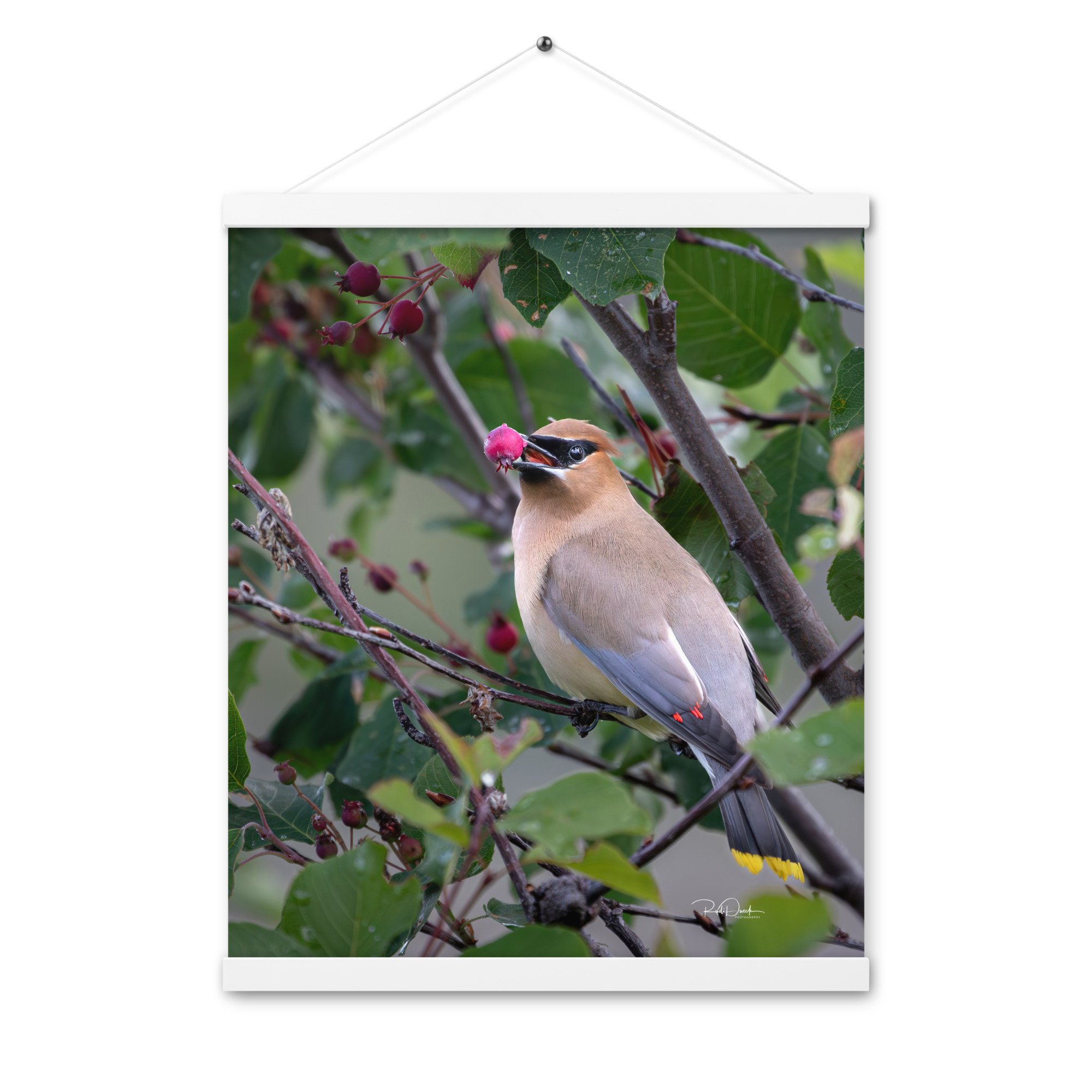 enhanced-matte-paper-poster-with-hanger-(in)-white-16x20-front-67d73d77460fd.jpg