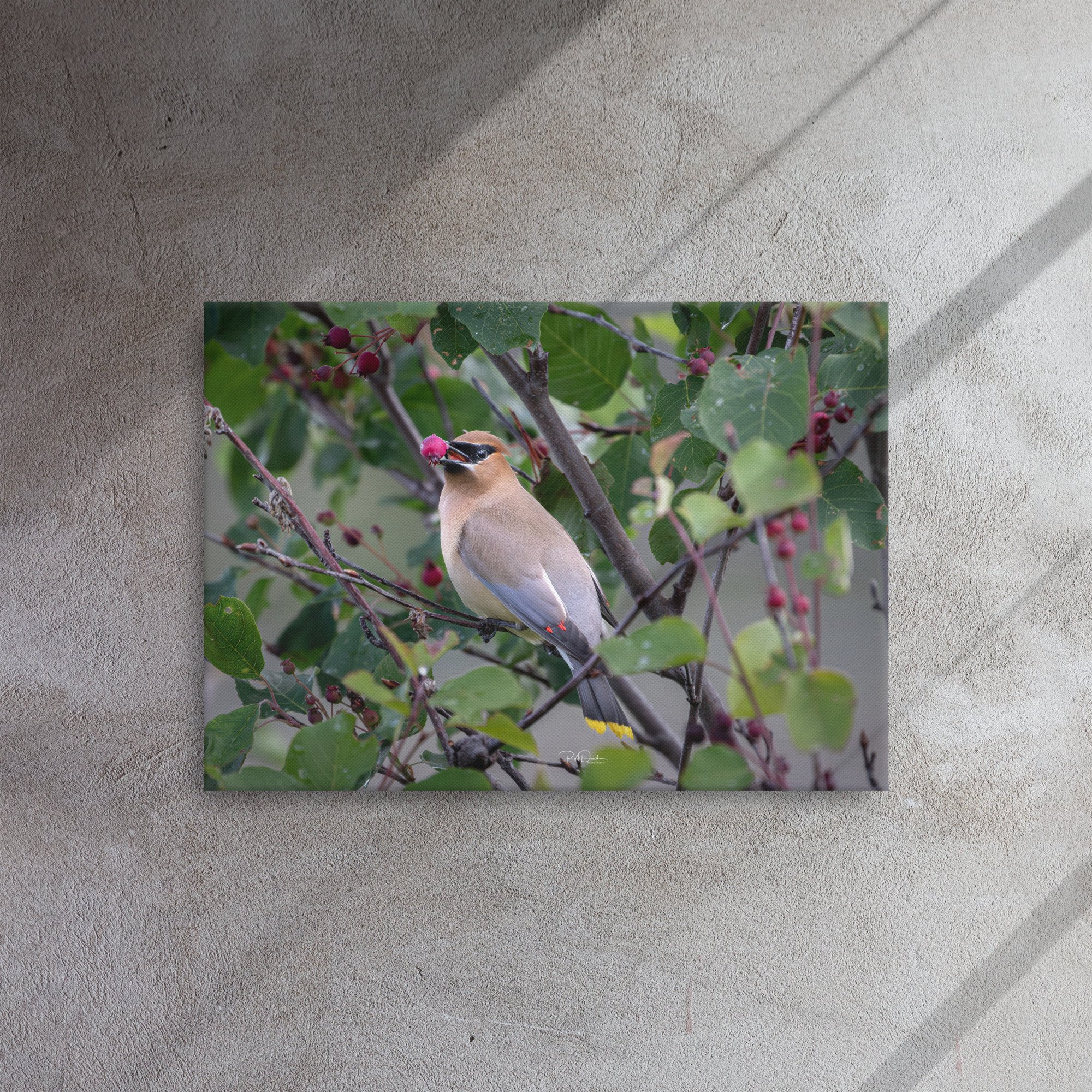 thin-canvas-(in)-20x28-front-67d73ef4d0976.jpg