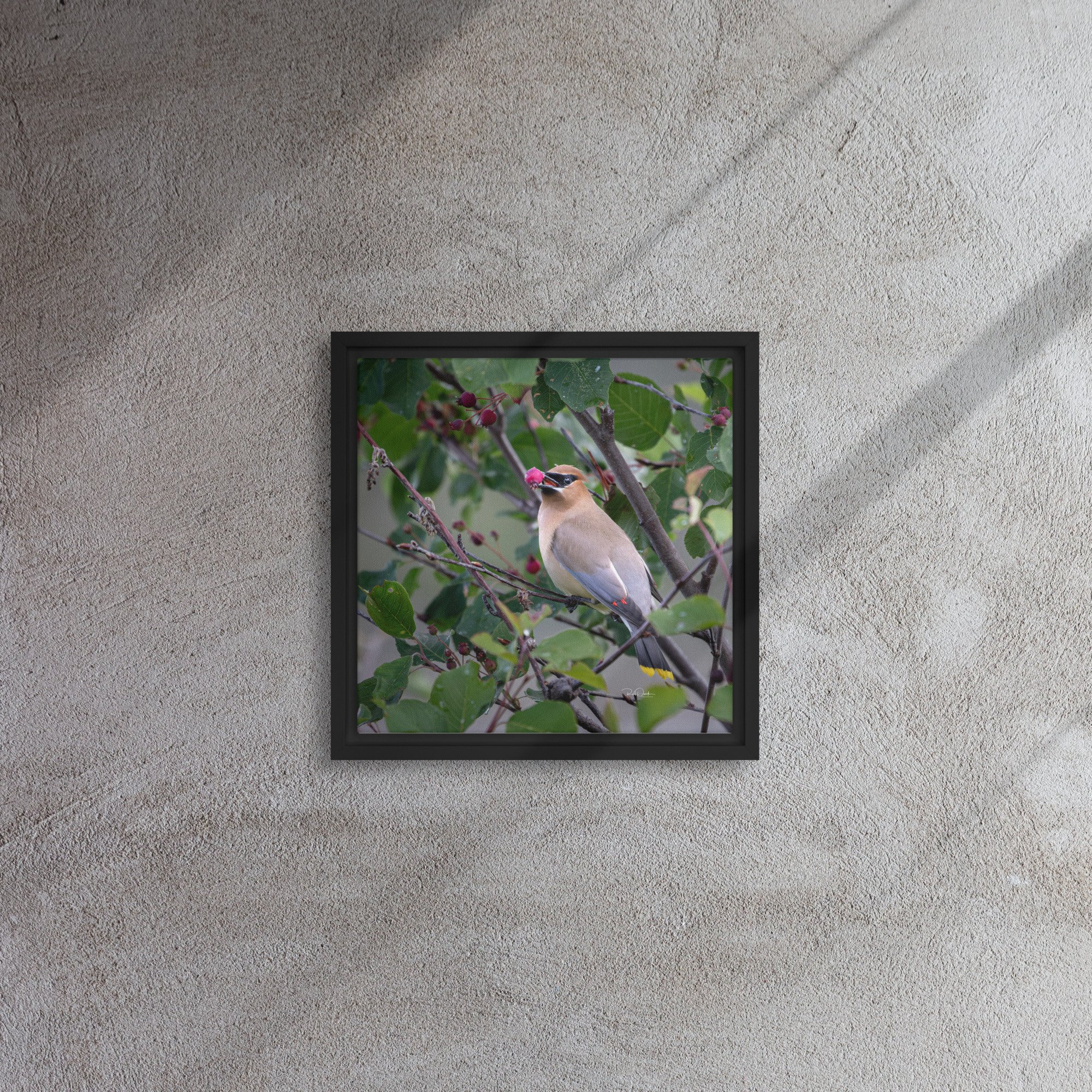 framed-canvas-(in)-black-12x12-front-67d740ff20e5c.jpg