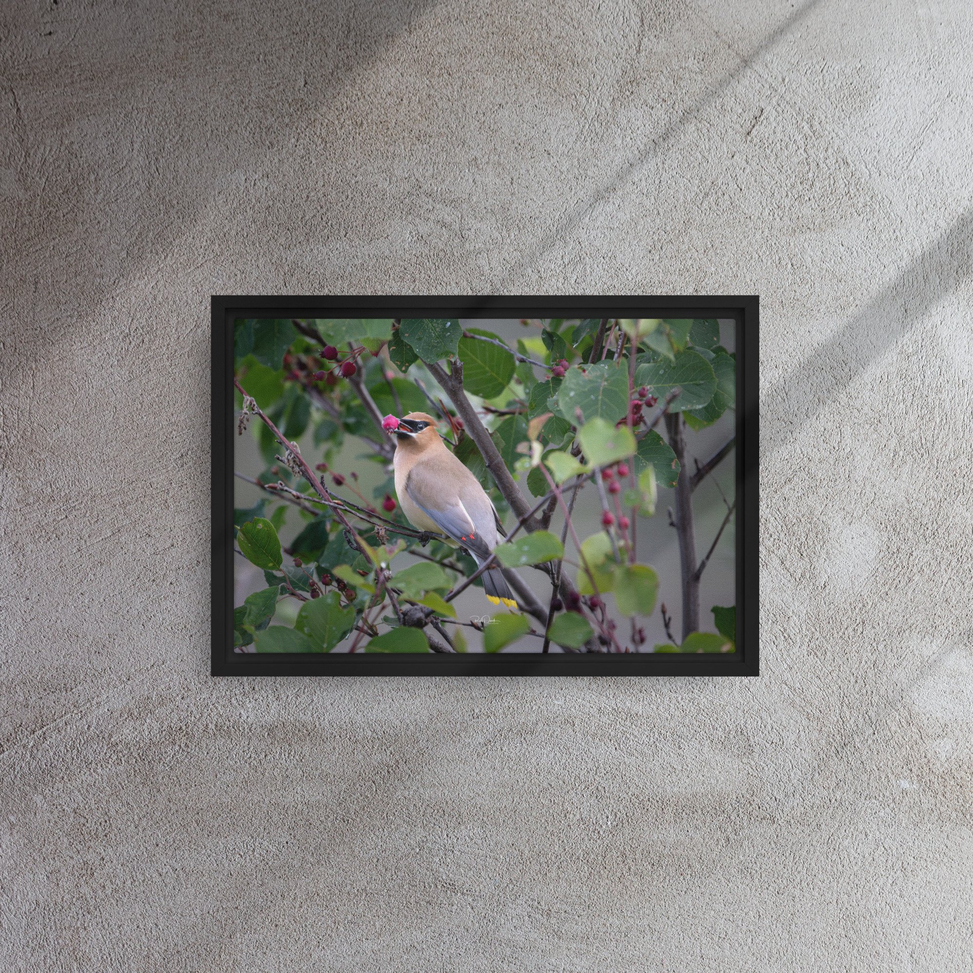 framed-canvas-(in)-black-12x18-front-67d740ff20f0c.jpg
