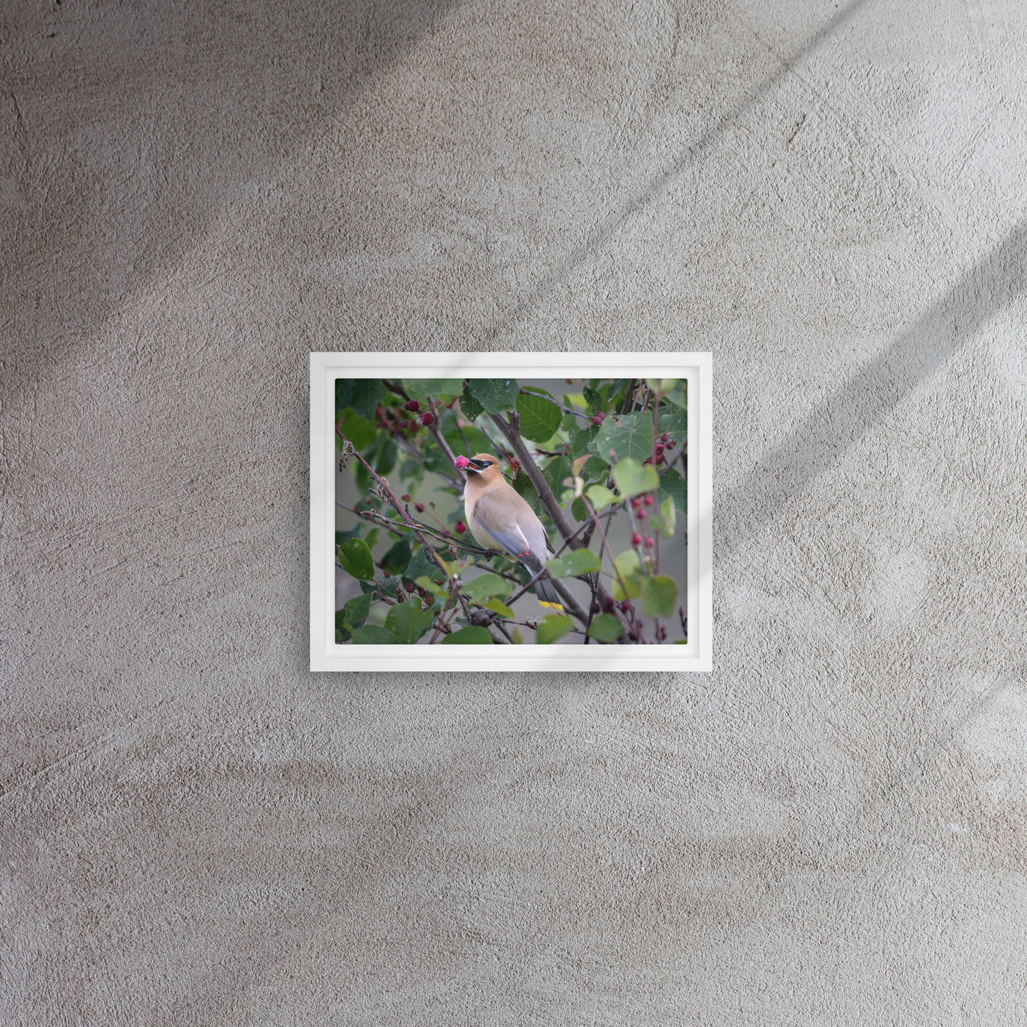 framed-canvas-(in)-white-9x12-front-67d740ff215e5.jpg