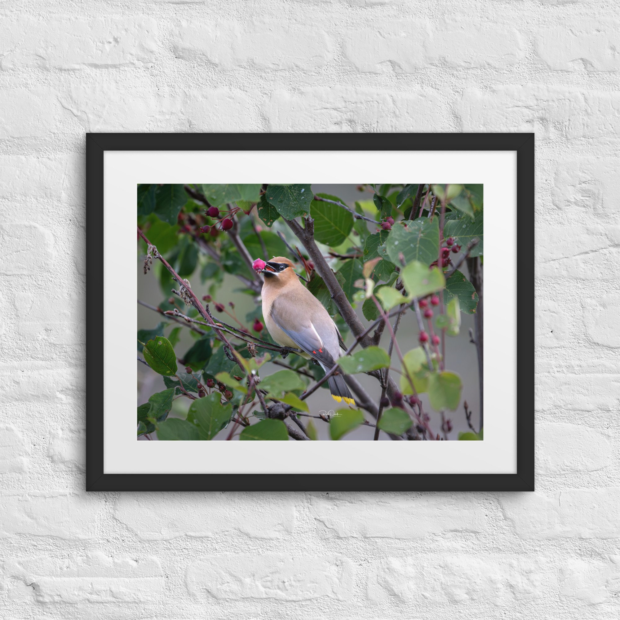matte-paper-framed-poster-with-mat-(in)-black-16x20-front-67d744edccd38.jpg