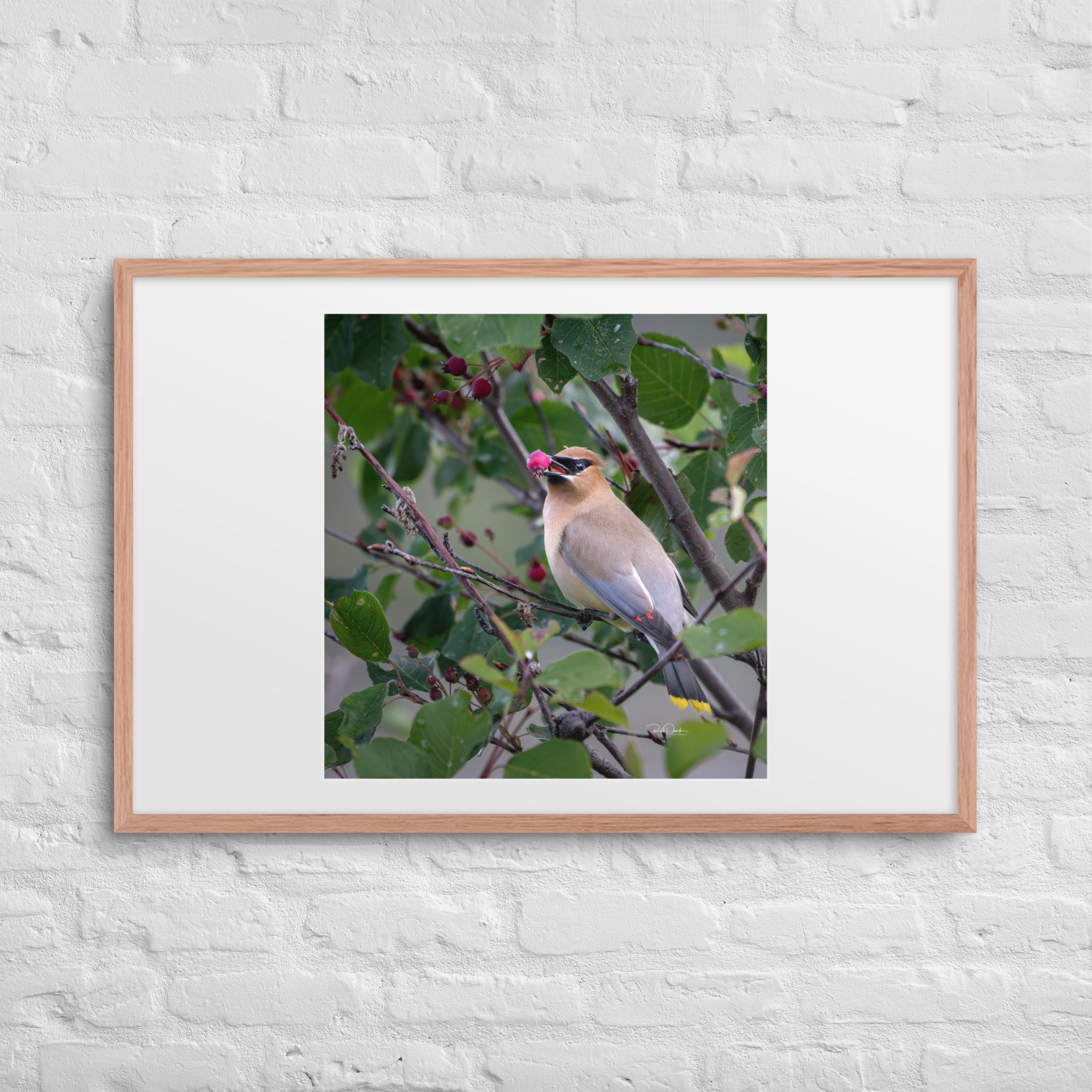 matte-paper-framed-poster-with-mat-(in)-red-oak-24x36-front-67d744edccef7.jpg