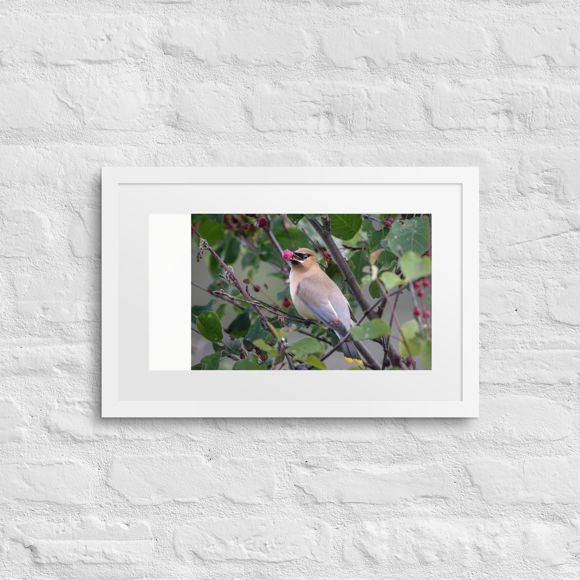 matte-paper-framed-poster-with-mat-(in)-white-12x18-front-67d744edccf7d.jpg