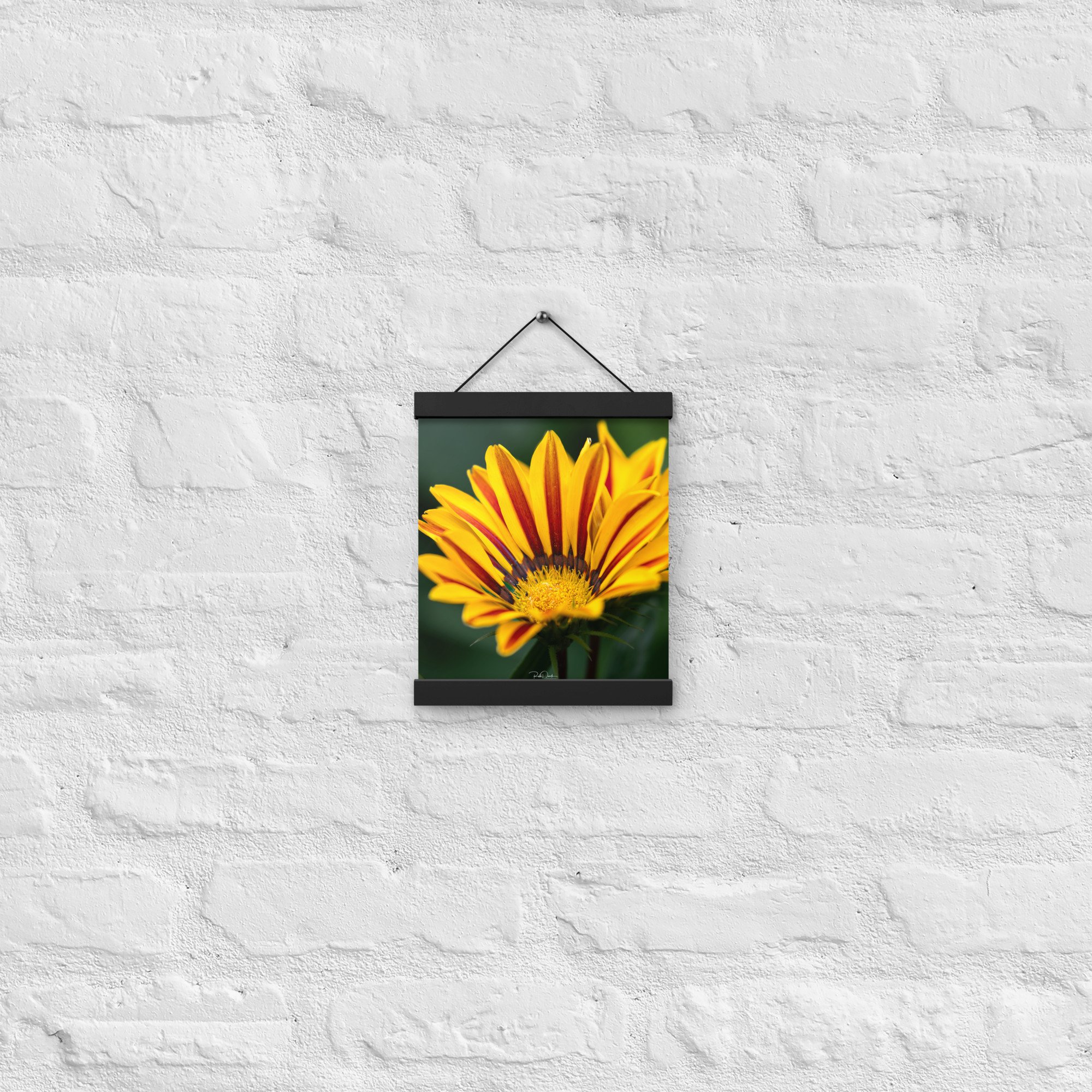 enhanced-matte-paper-poster-with-hanger-(in)-black-8x10-front-67d82932b4e7e.jpg
