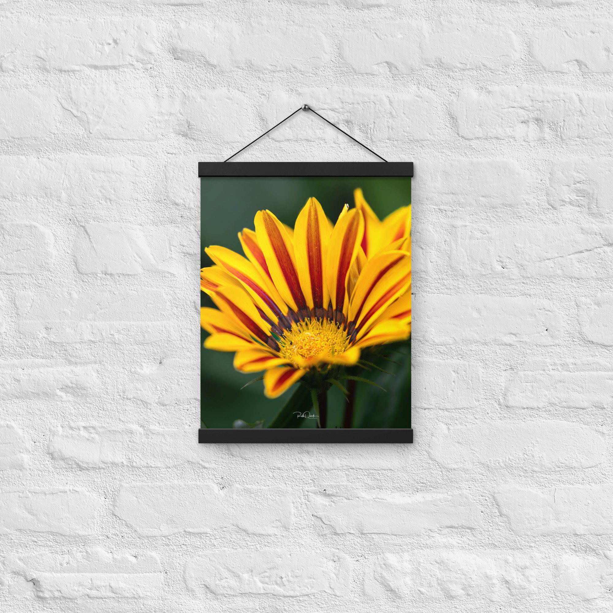 enhanced-matte-paper-poster-with-hanger-(in)-black-12x16-front-67d82932b50d4.jpg