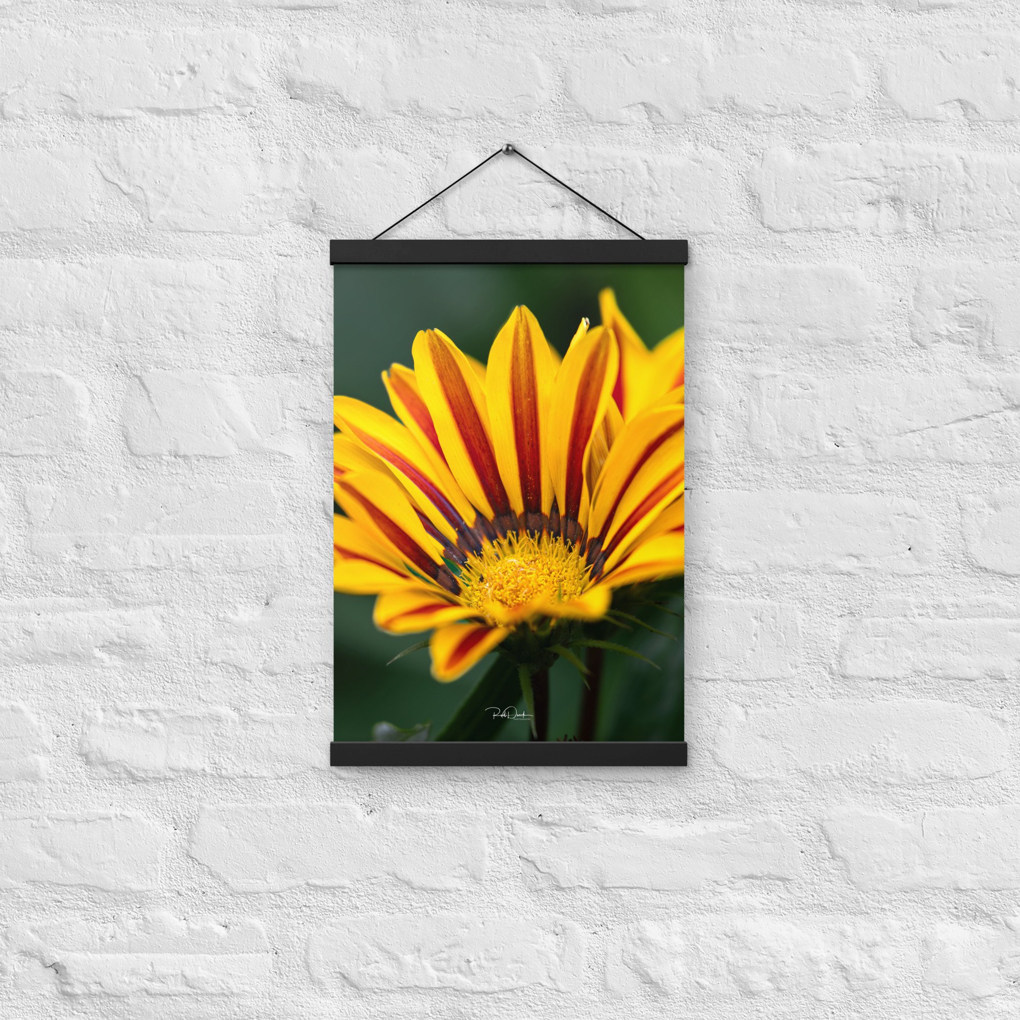 enhanced-matte-paper-poster-with-hanger-(in)-black-12x18-front-67d82932b5170.jpg