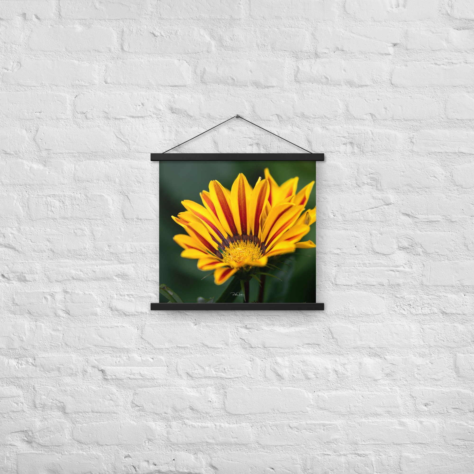 enhanced-matte-paper-poster-with-hanger-(in)-black-18x18-front-67d82932b53e3.jpg