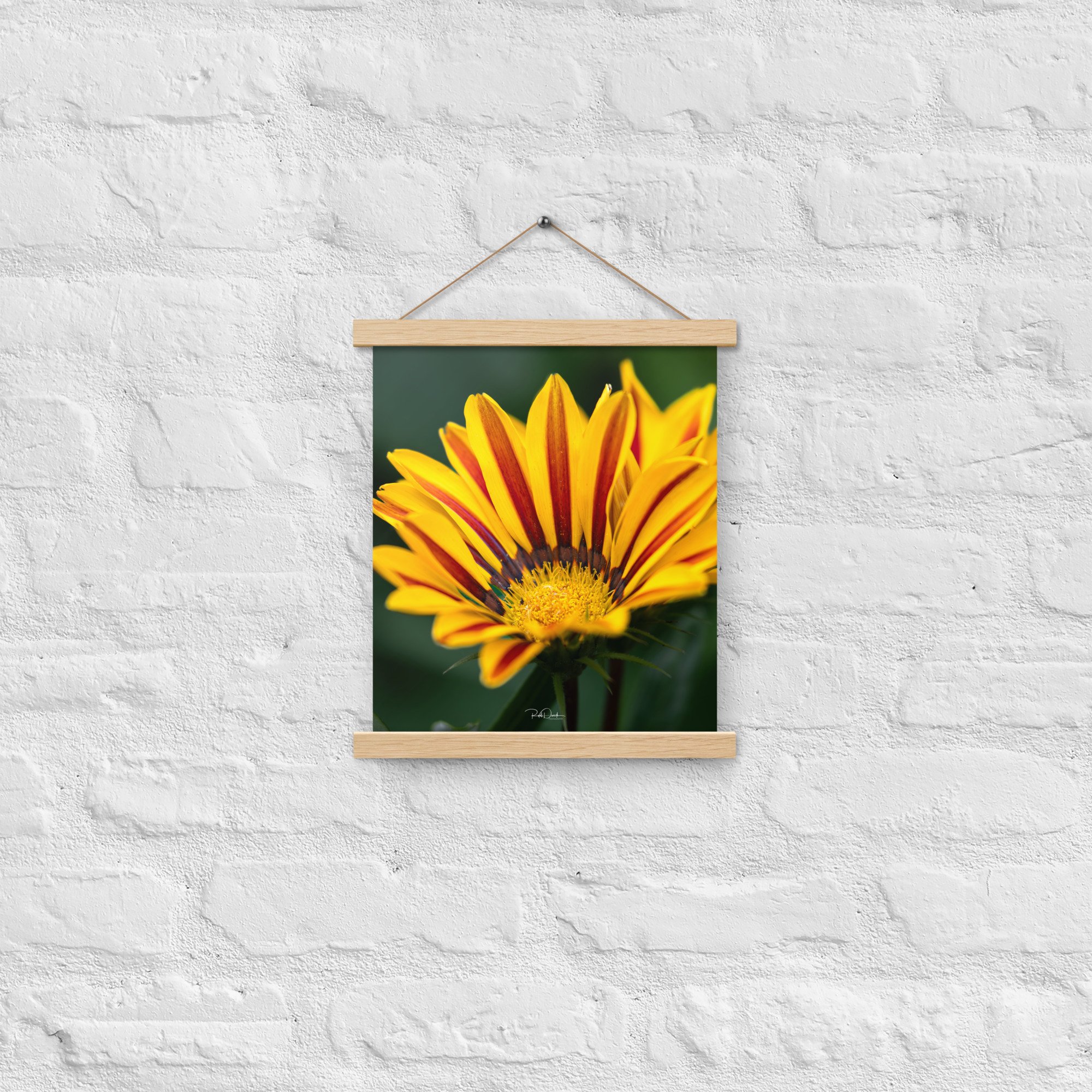 enhanced-matte-paper-poster-with-hanger-(in)-oak-11x14-front-67d82932b574d.jpg