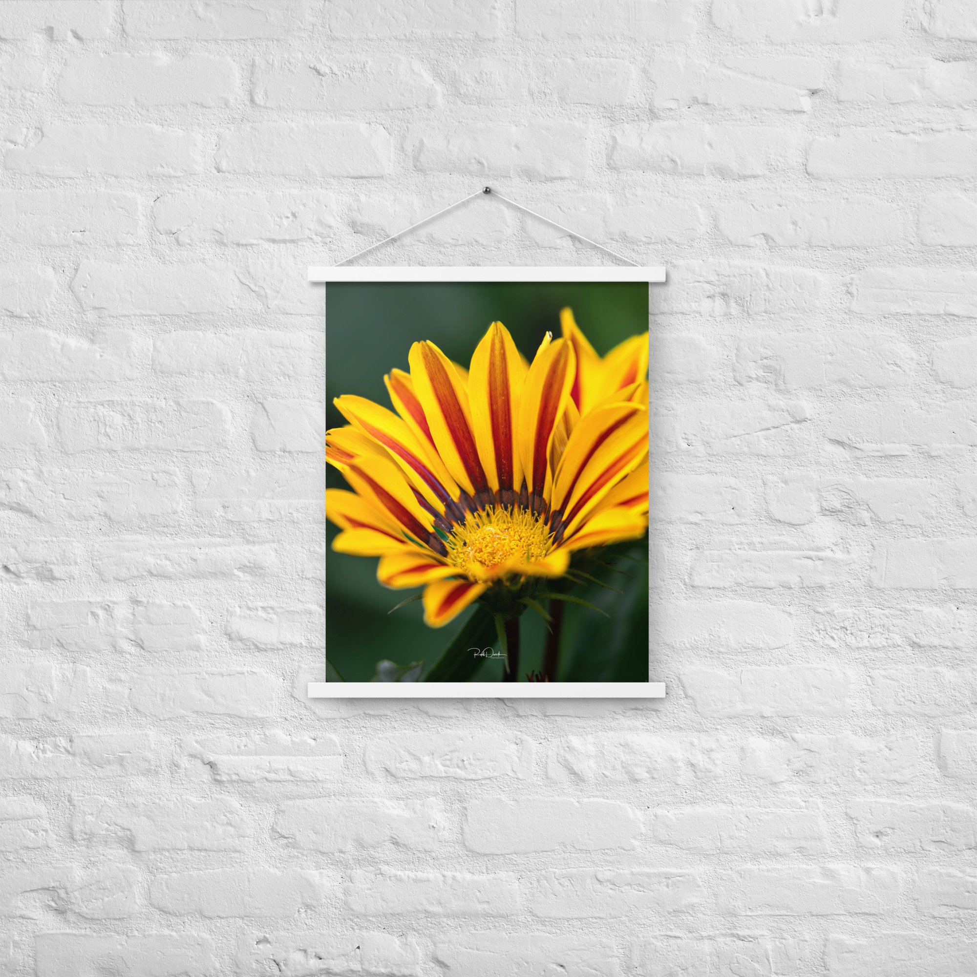 enhanced-matte-paper-poster-with-hanger-(in)-white-18x24-front-67d82932b6378.jpg