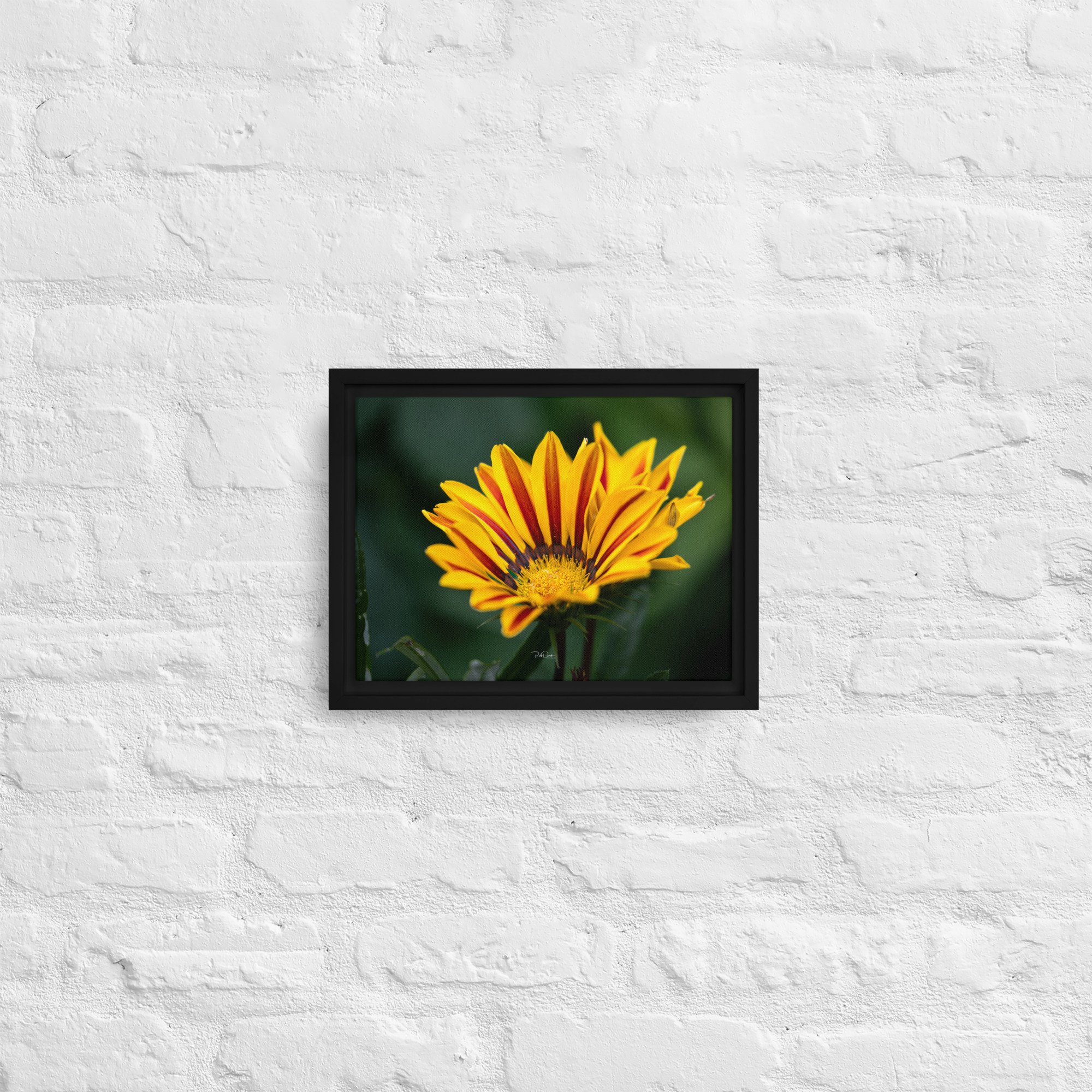 framed-canvas-(in)-black-9x12-front-67d82c79083ff.jpg