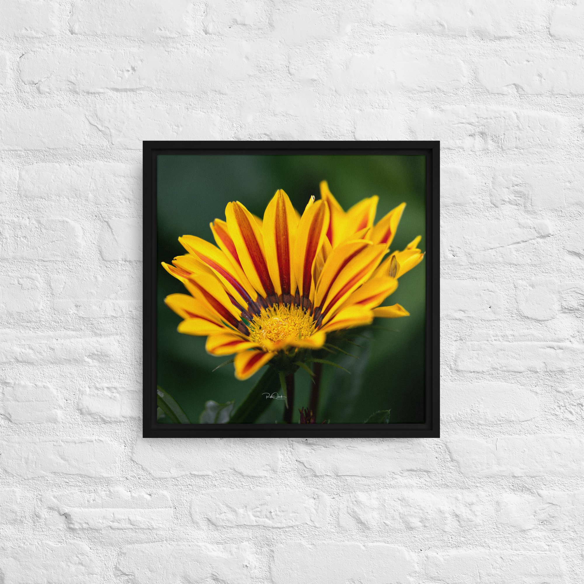 framed-canvas-(in)-black-16x16-front-67d82c7908742.jpg