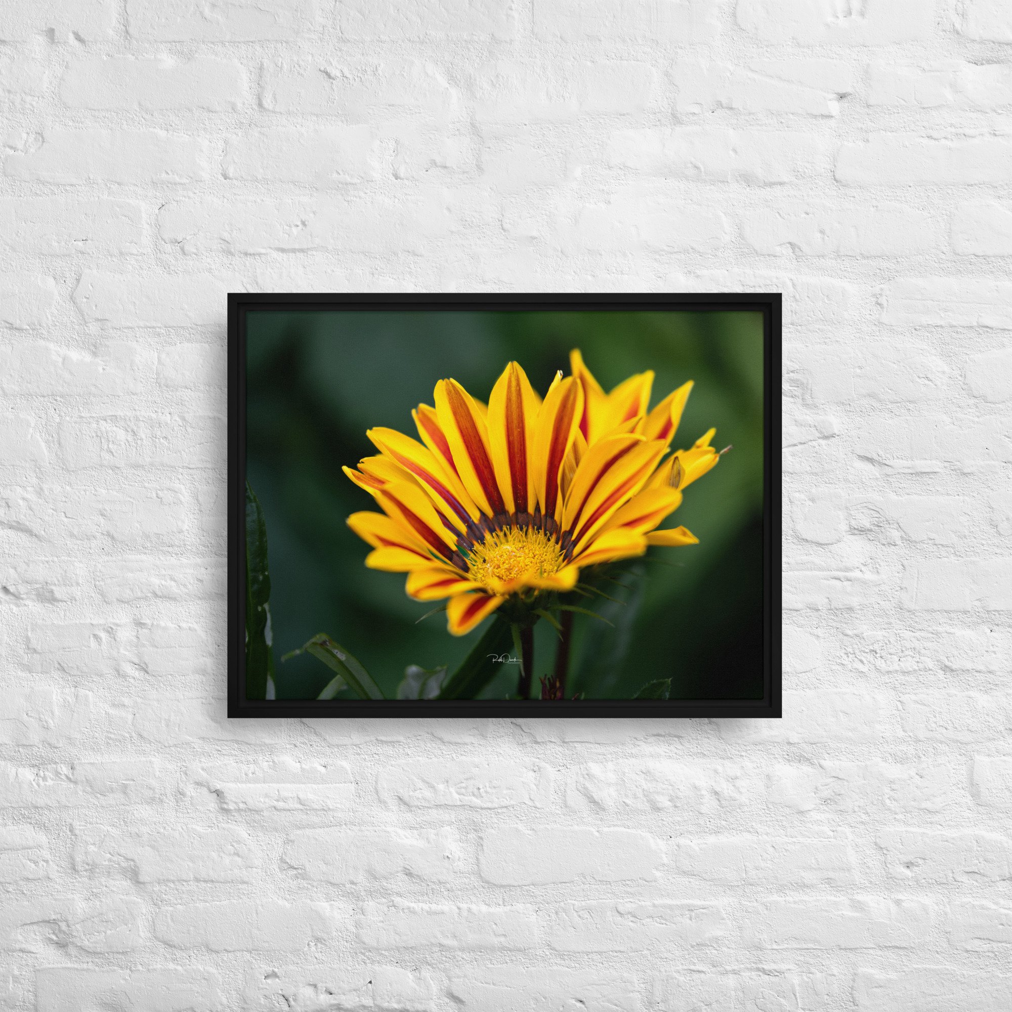 framed-canvas-(in)-black-18x24-front-67d82c7908891.jpg