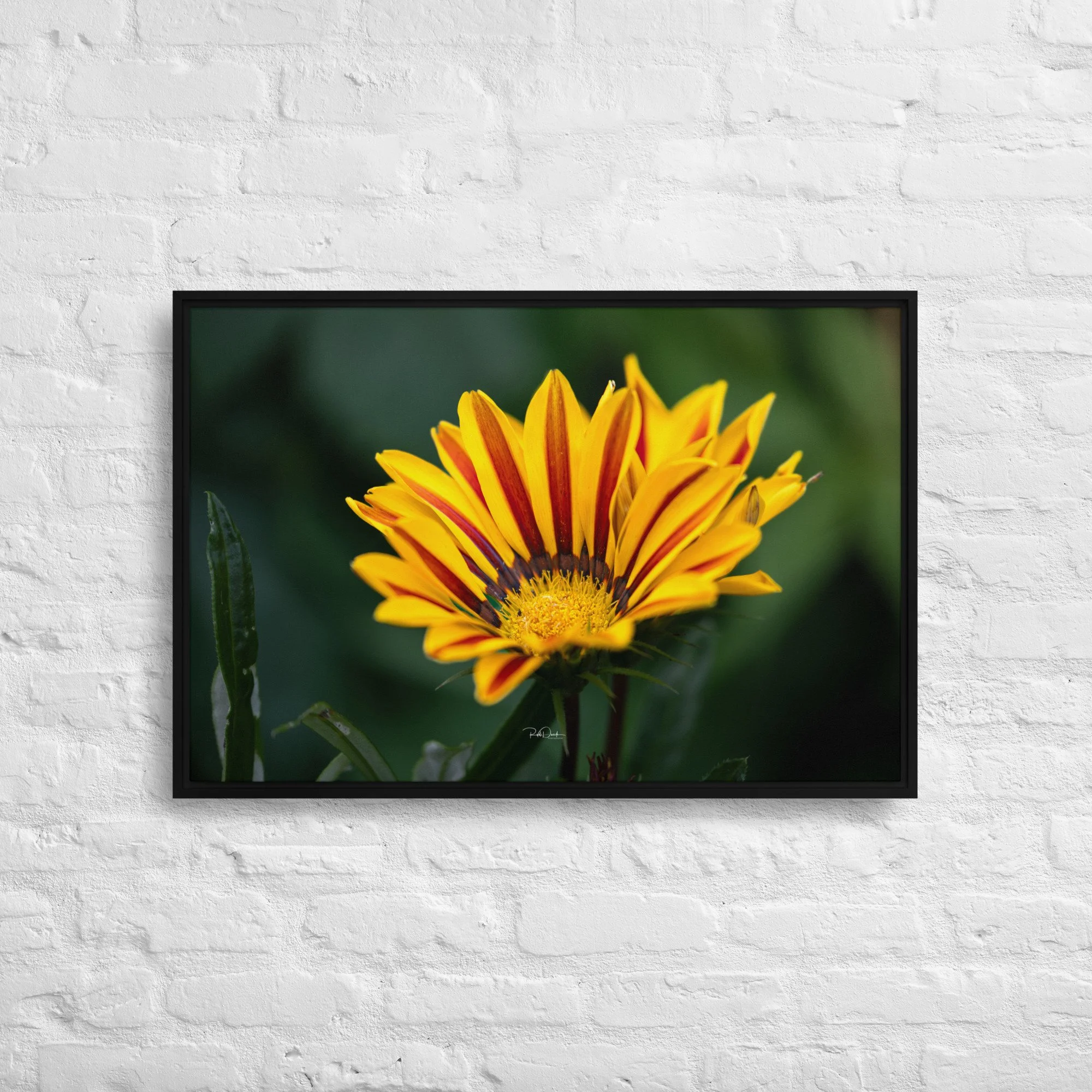 framed-canvas-(in)-black-20x30-front-67d82c79089be.jpg