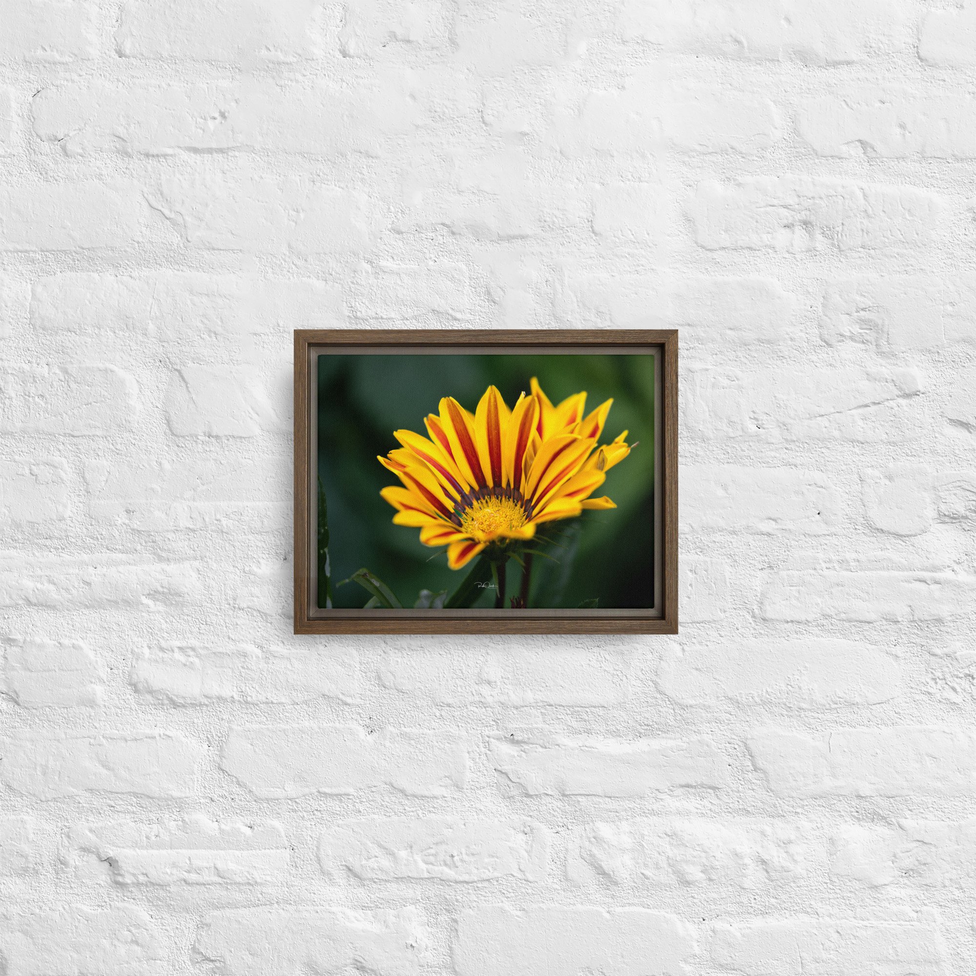 framed-canvas-(in)-brown-9x12-front-67d82c7908c25.jpg
