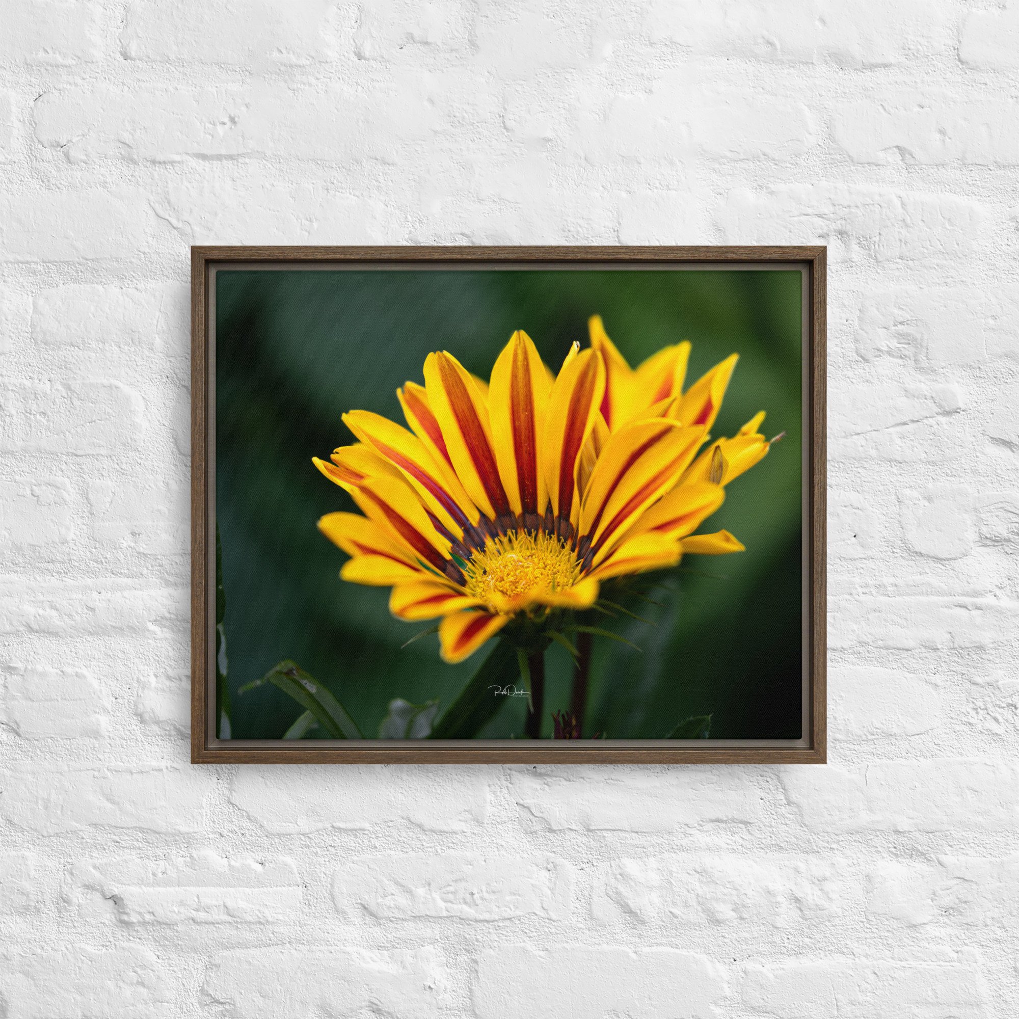 framed-canvas-(in)-brown-16x20-front-67d82c7908fd5.jpg