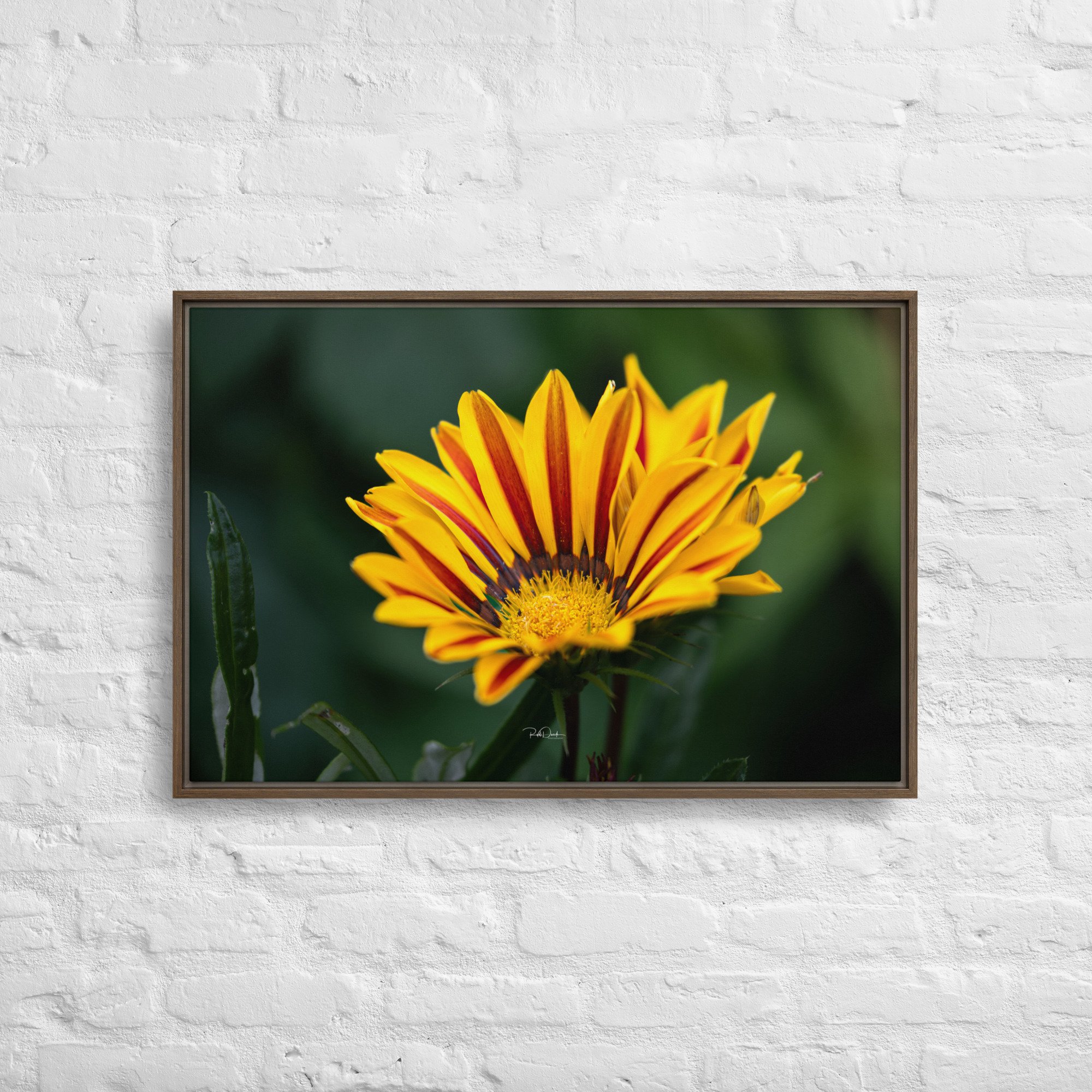 framed-canvas-(in)-brown-20x30-front-67d82c79091ba.jpg