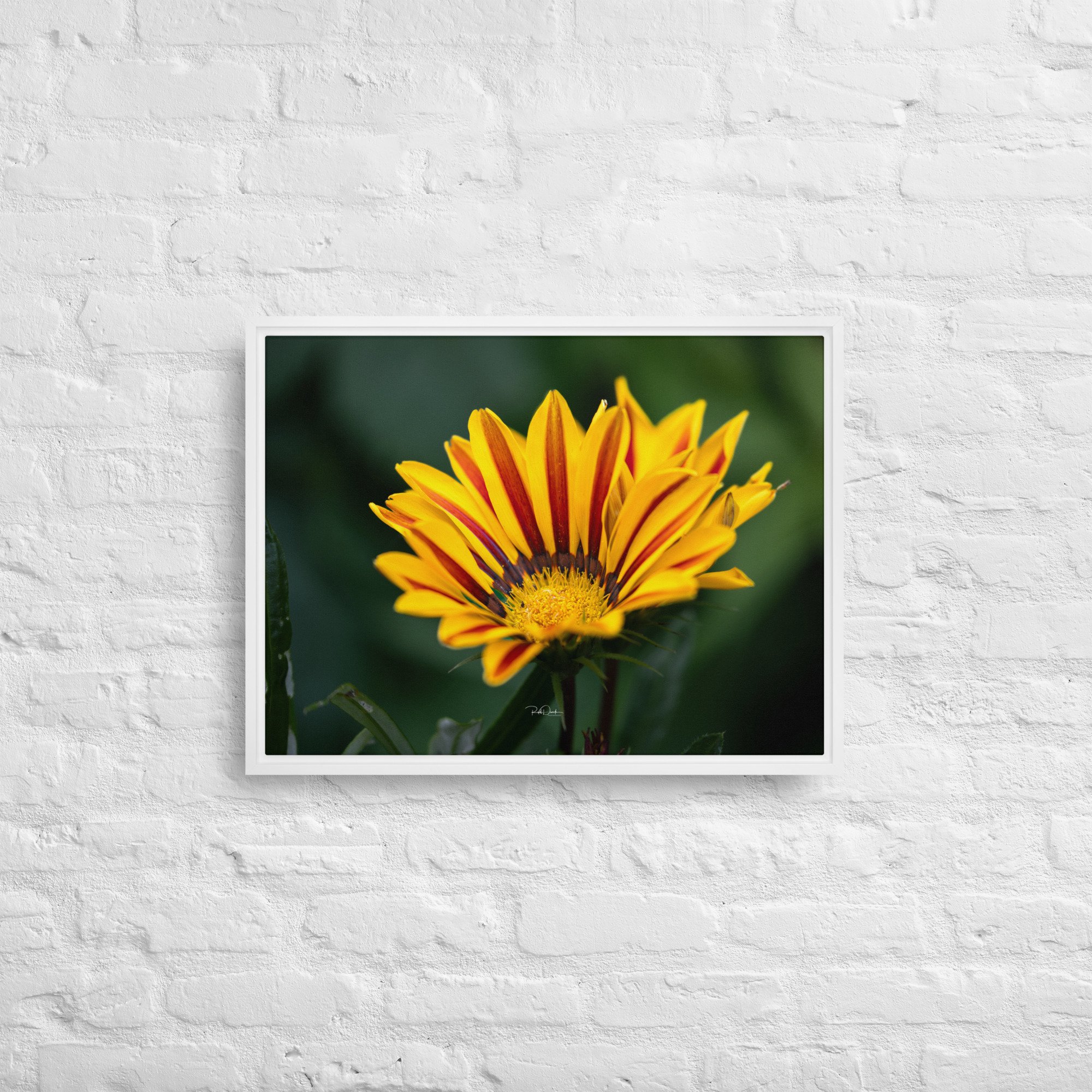 framed-canvas-(in)-white-18x24-front-67d82c79097df.jpg