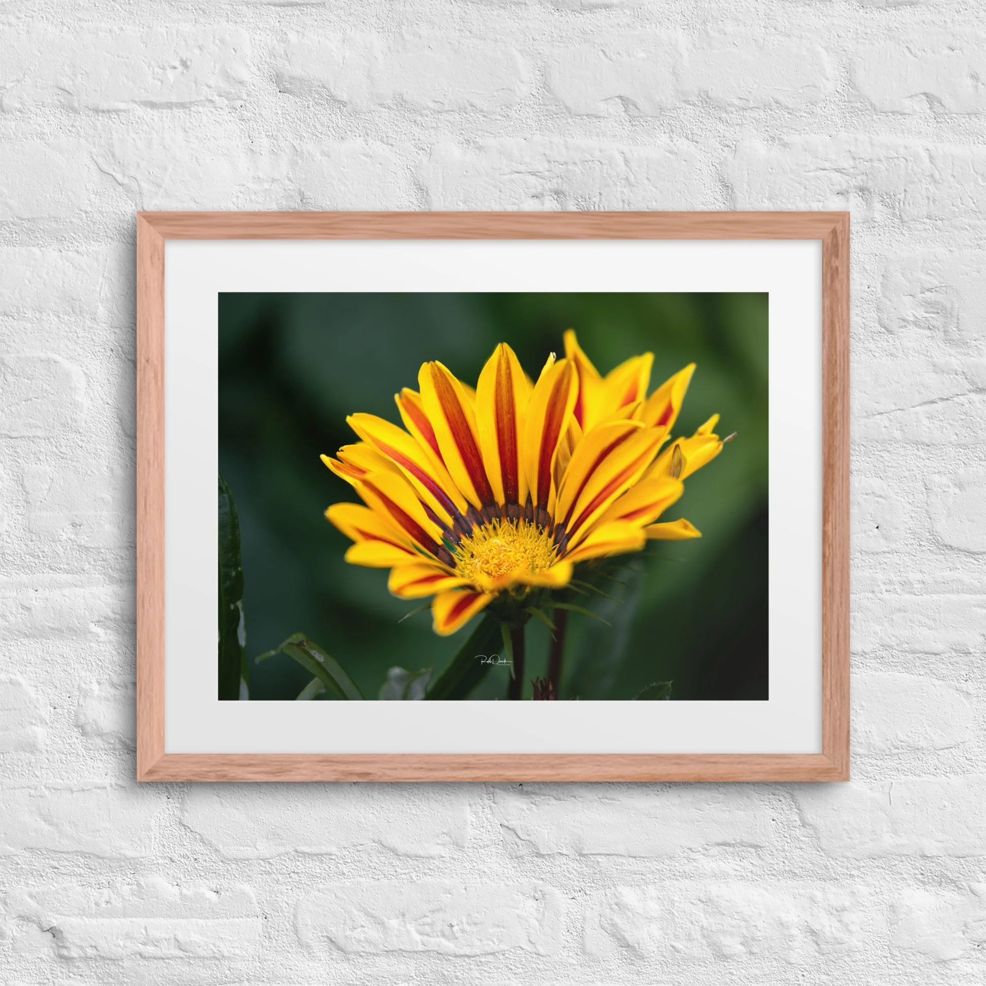 matte-paper-framed-poster-with-mat-(in)-red-oak-16x20-front-67d82ebe59edf.jpg