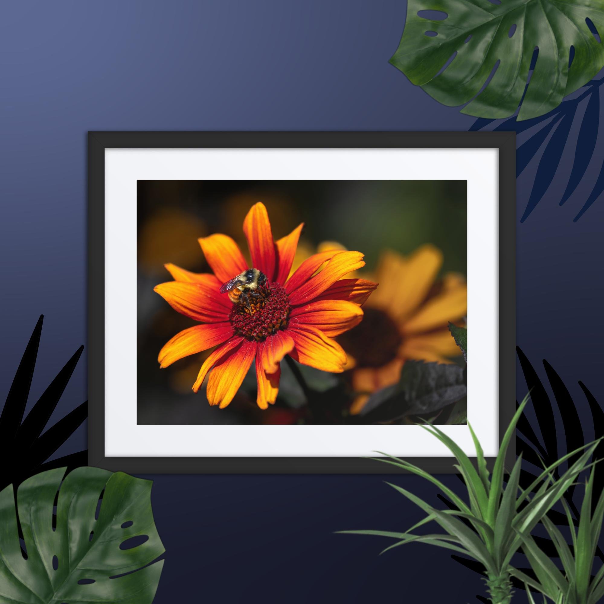 matte-paper-framed-poster-with-mat-(in)-black-16x20-front-67d8b5a99ecb1.jpg