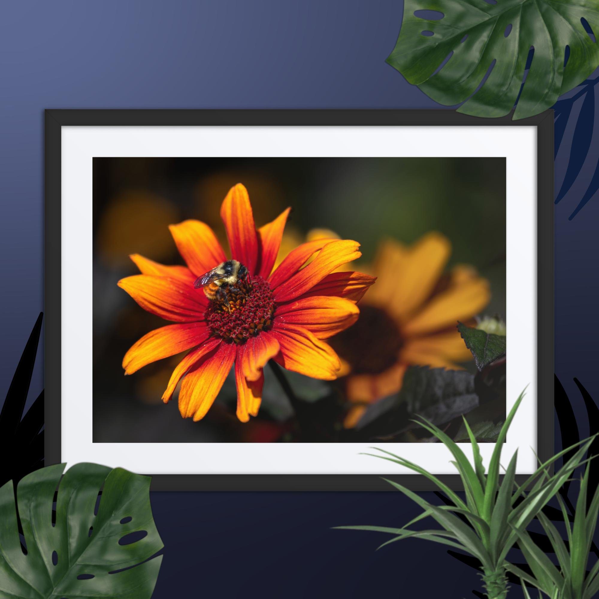 matte-paper-framed-poster-with-mat-(in)-black-18x24-front-67d8b5a9a3de5.jpg