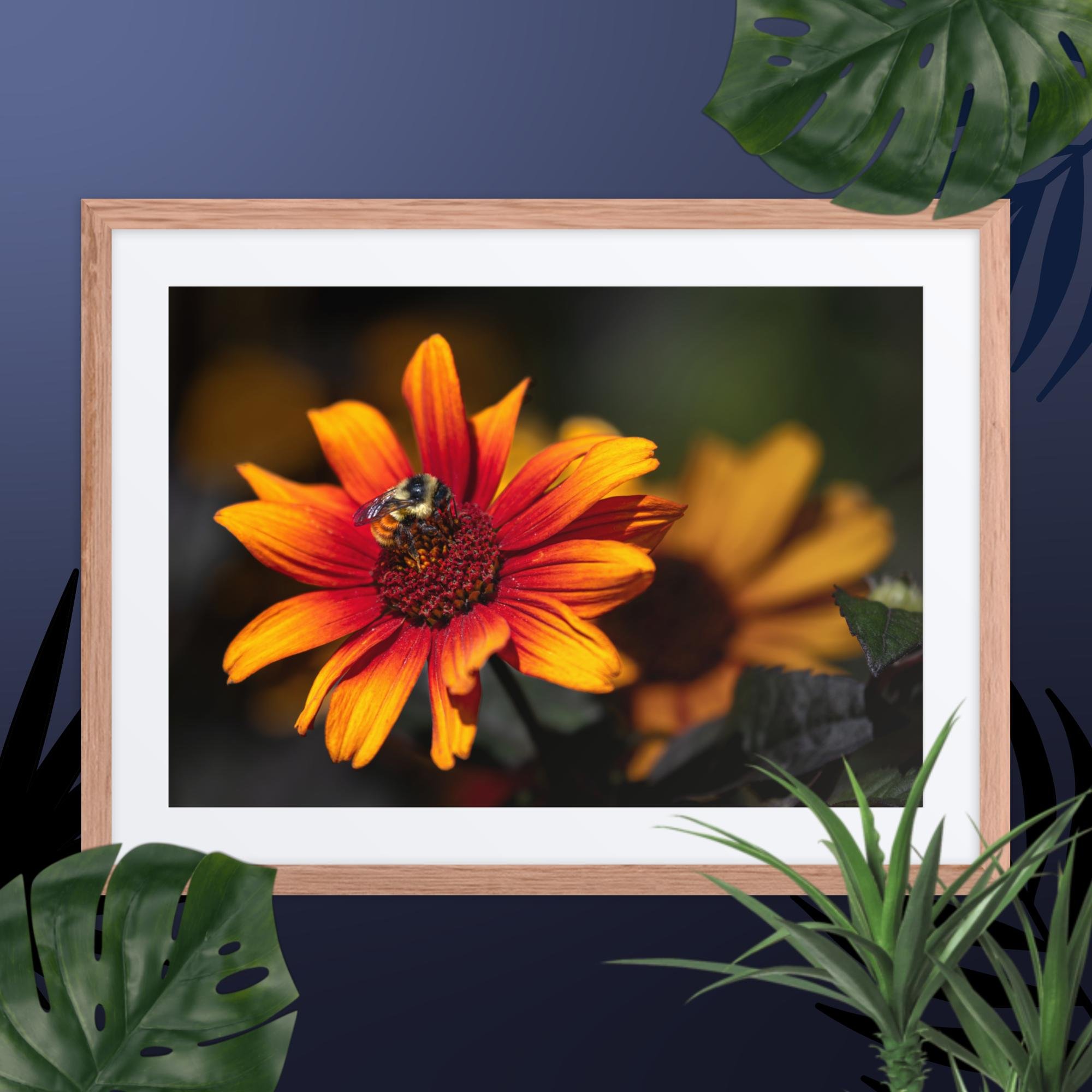 matte-paper-framed-poster-with-mat-(in)-red-oak-18x24-front-67d8b5a9a552d.jpg