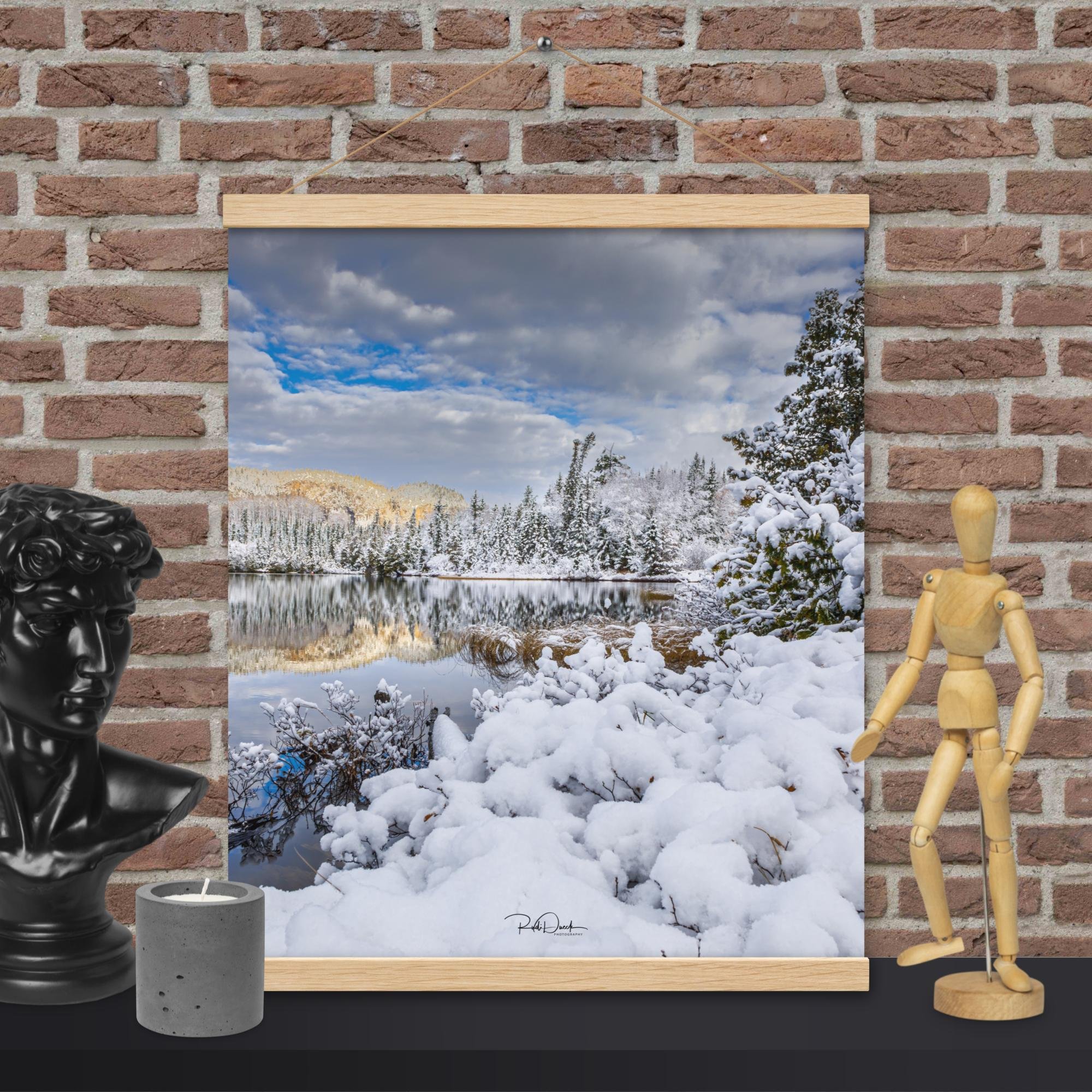 enhanced-matte-paper-poster-with-hanger-(in)-oak-16x20-front-67d9f39e7ddae.jpg