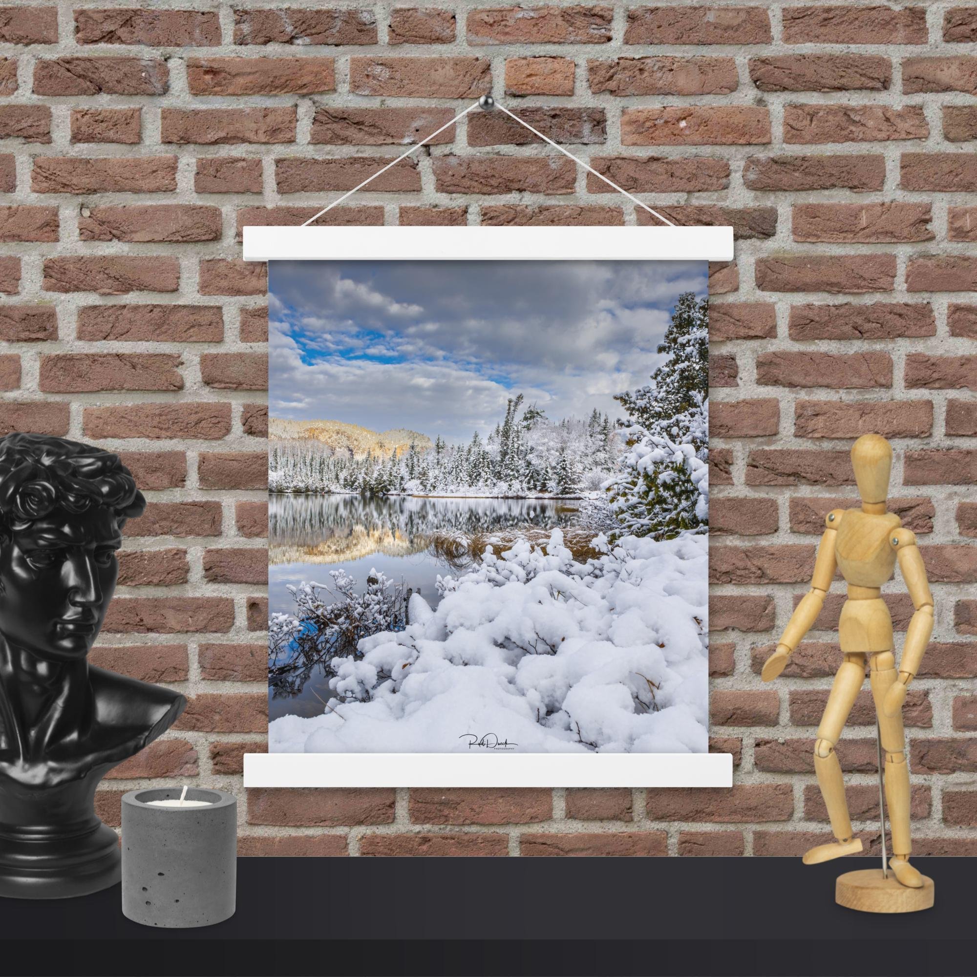 enhanced-matte-paper-poster-with-hanger-(in)-white-11x14-front-67d9f39e75138.jpg