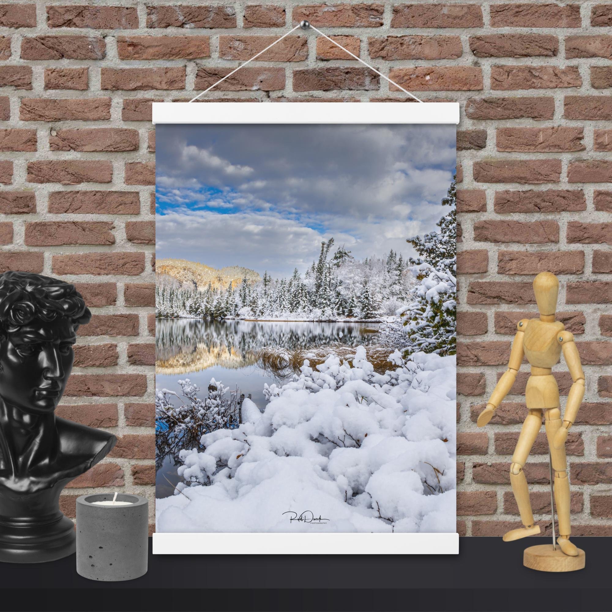enhanced-matte-paper-poster-with-hanger-(in)-white-12x18-front-67d9f39e7b97b.jpg