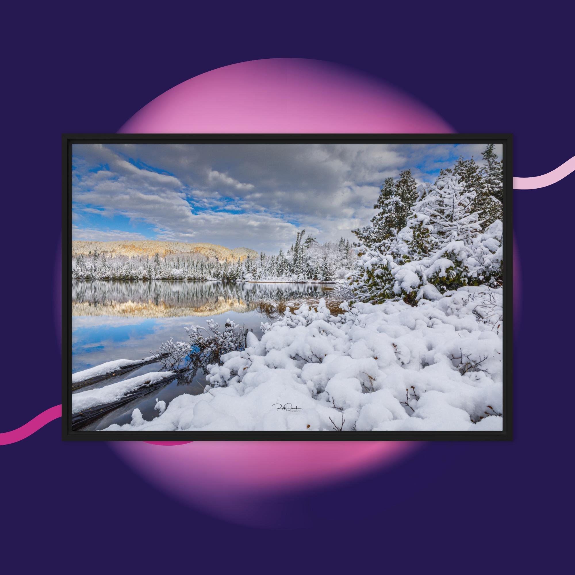 framed-canvas-(in)-black-20x30-front-67d9f72b8321d.jpg