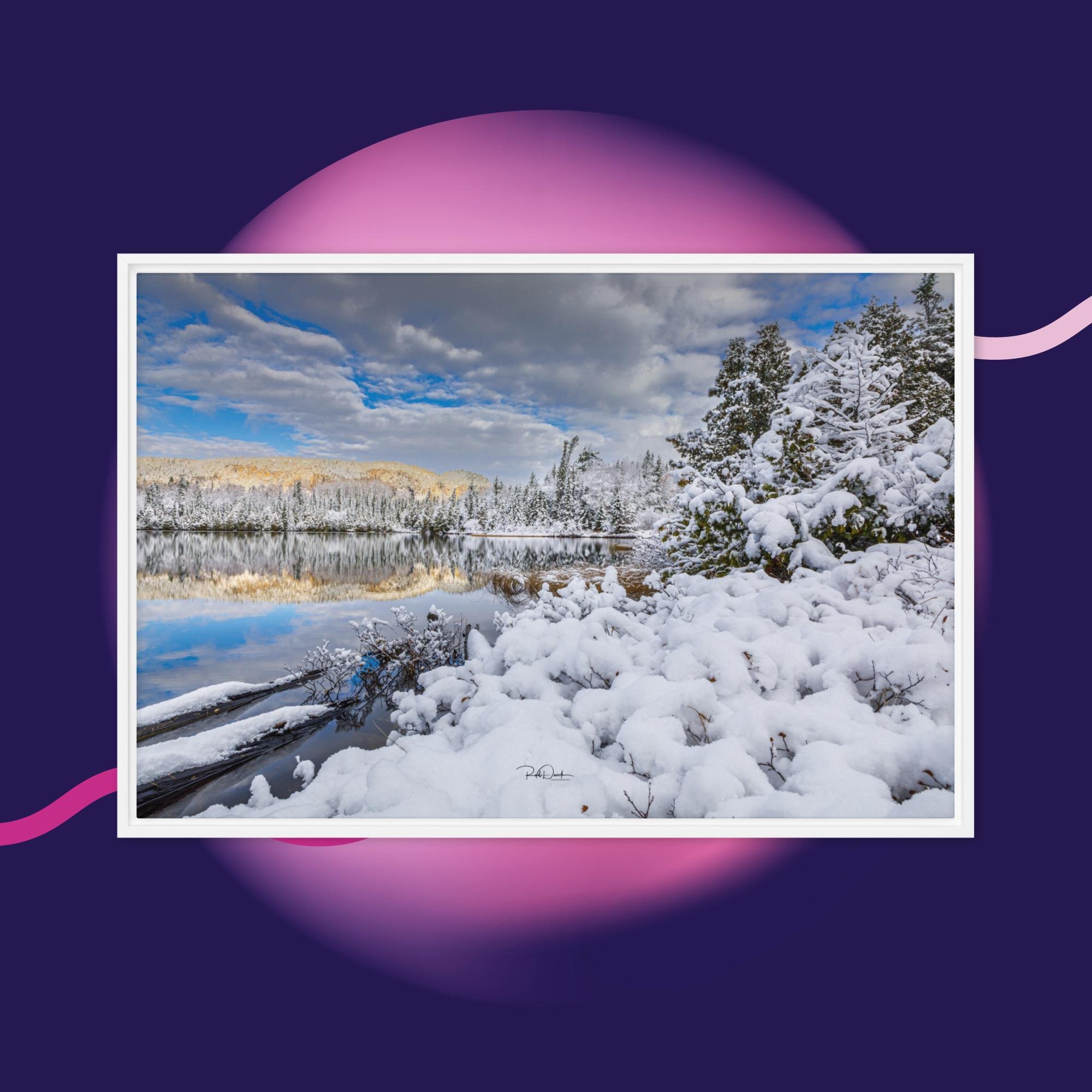 framed-canvas-(in)-white-24x36-front-67d9f72b603d2.jpg