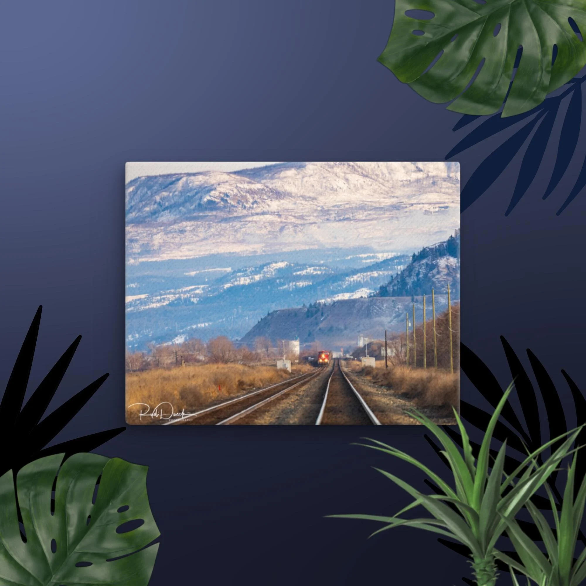thin-canvas-(in)-11x14-front-67df33fd687e2.jpg