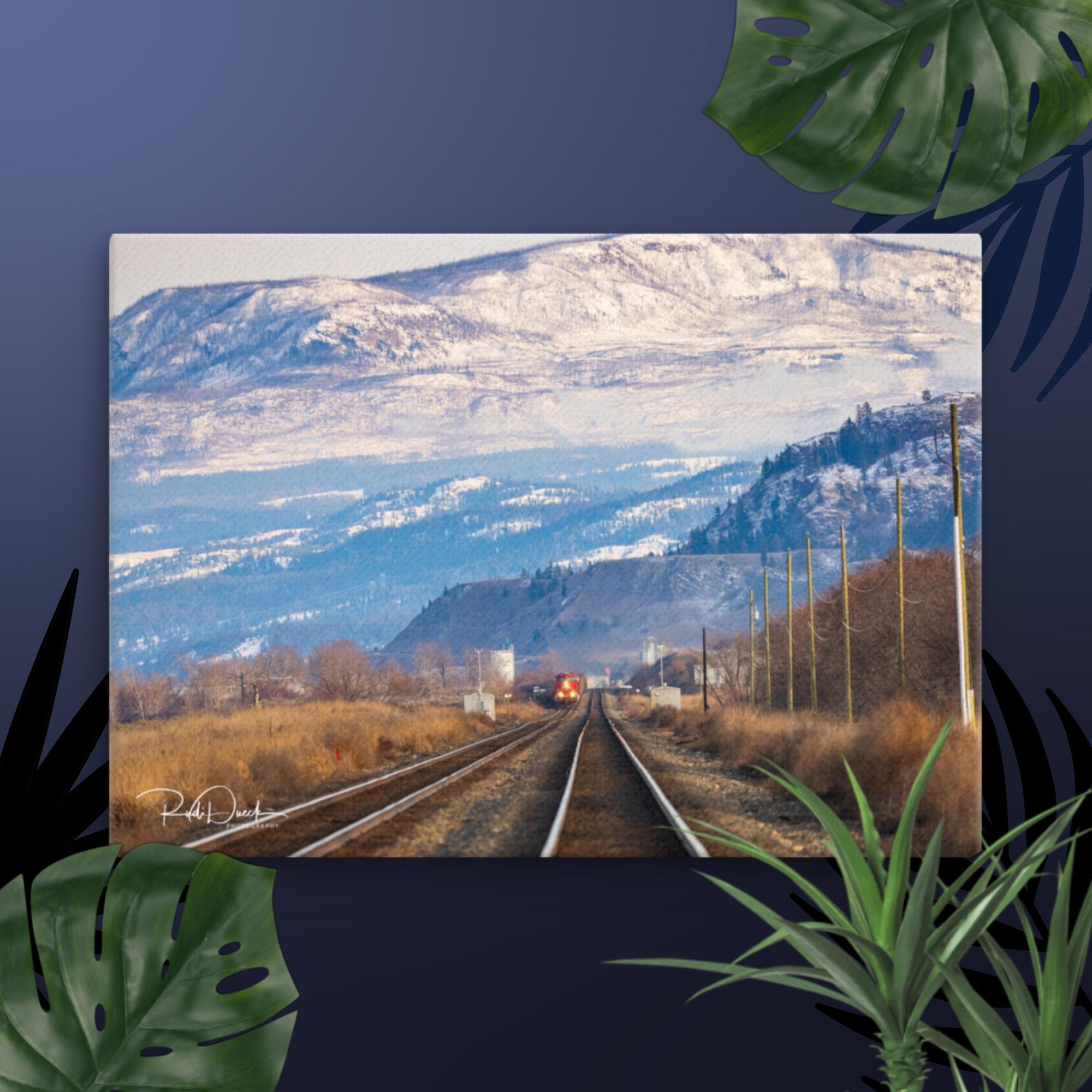 thin-canvas-(in)-20x28-front-67df33fd6ae51.jpg