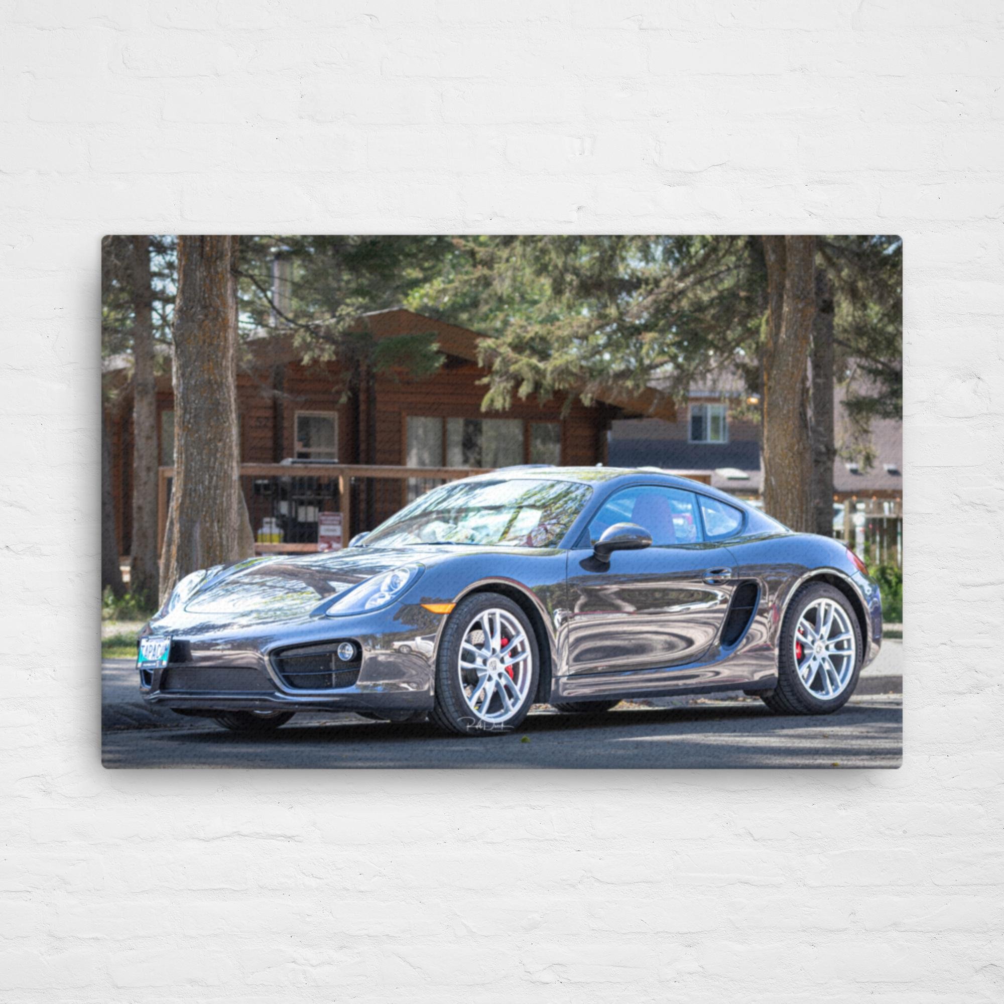 thin-canvas-(in)-24x36-front-67f7c159d66a0.jpg
