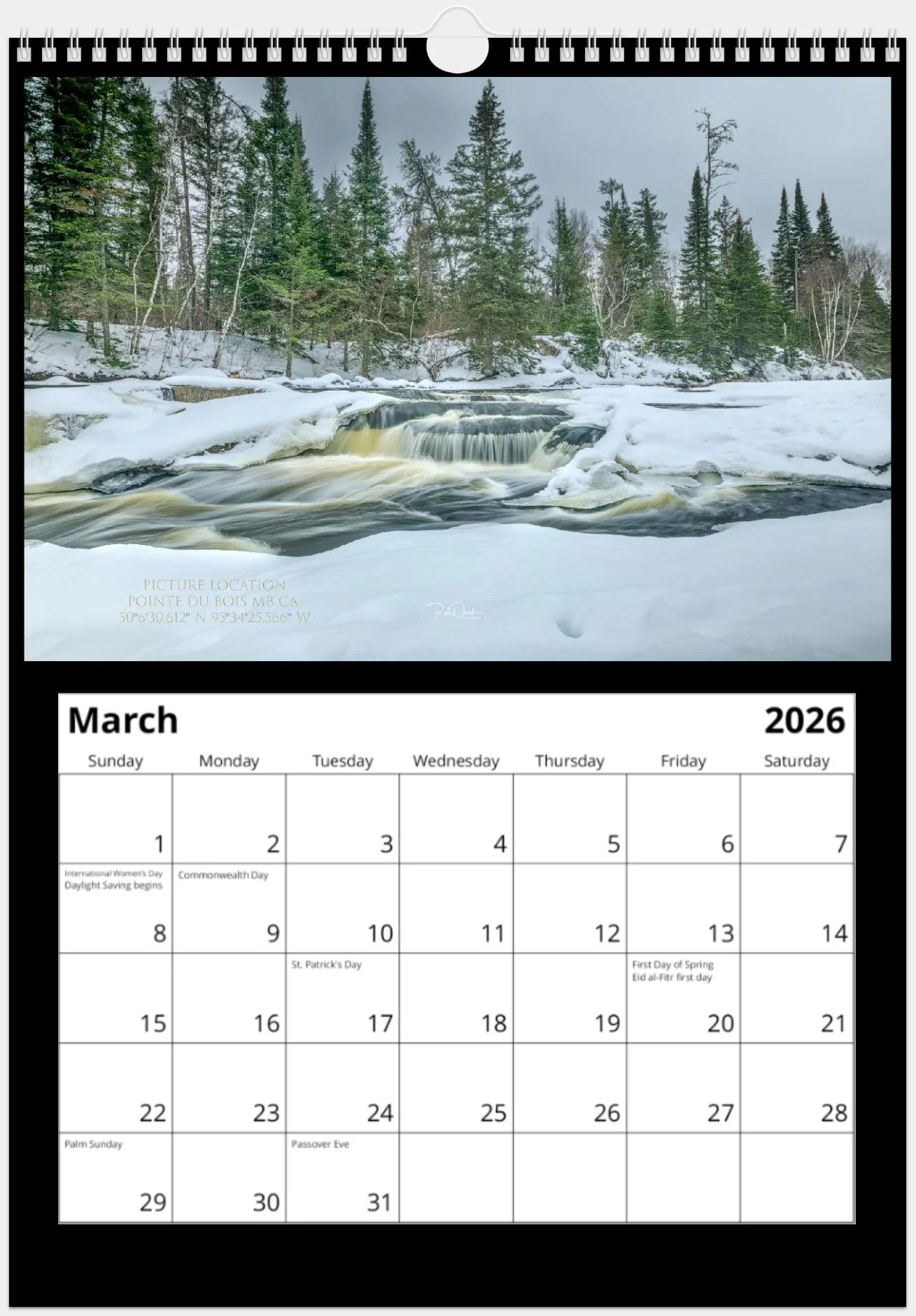 Limited Edition Nature Calendar March 2025.jpeg