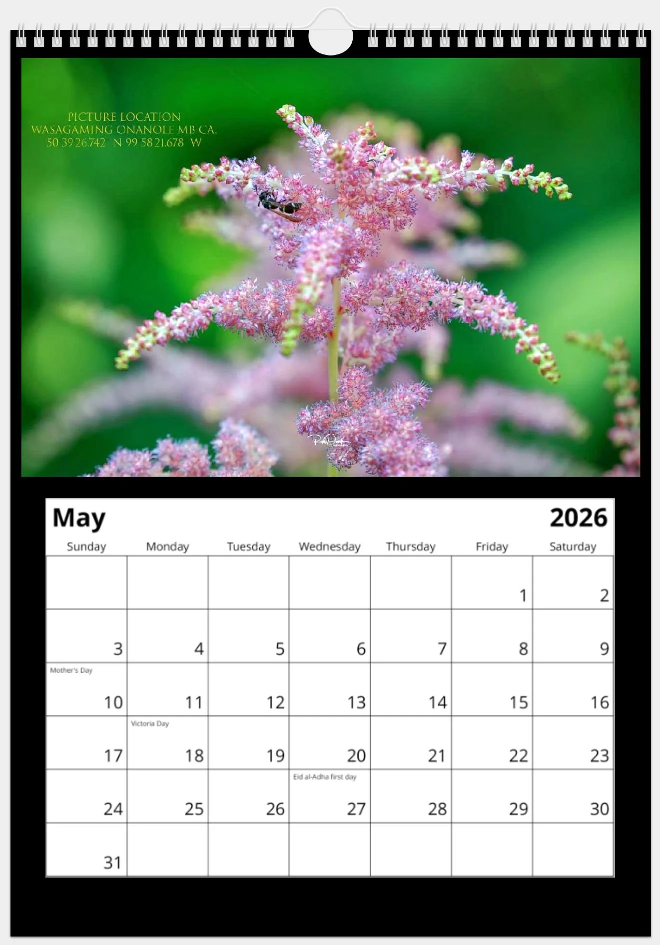 Limited Edition Nature Calendar May 2025.jpeg