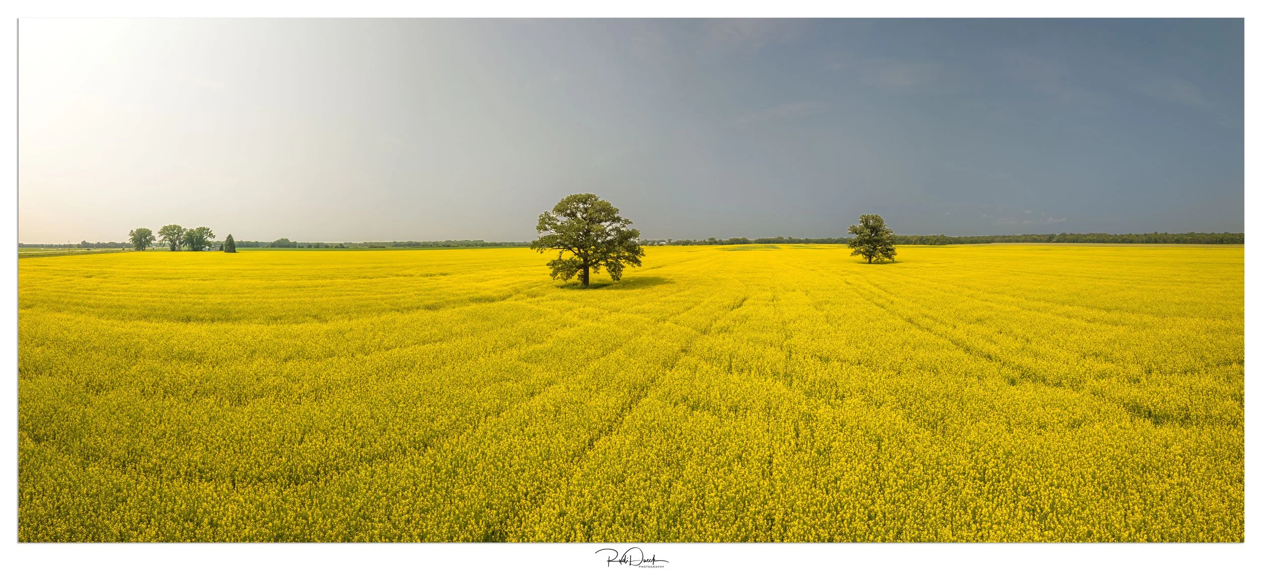 PANO_0001-Pano-Edit-5.jpg