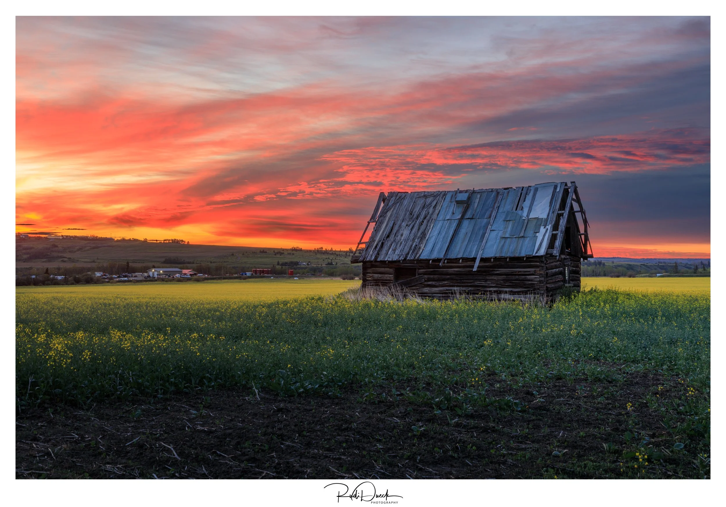 LANDSCAPE