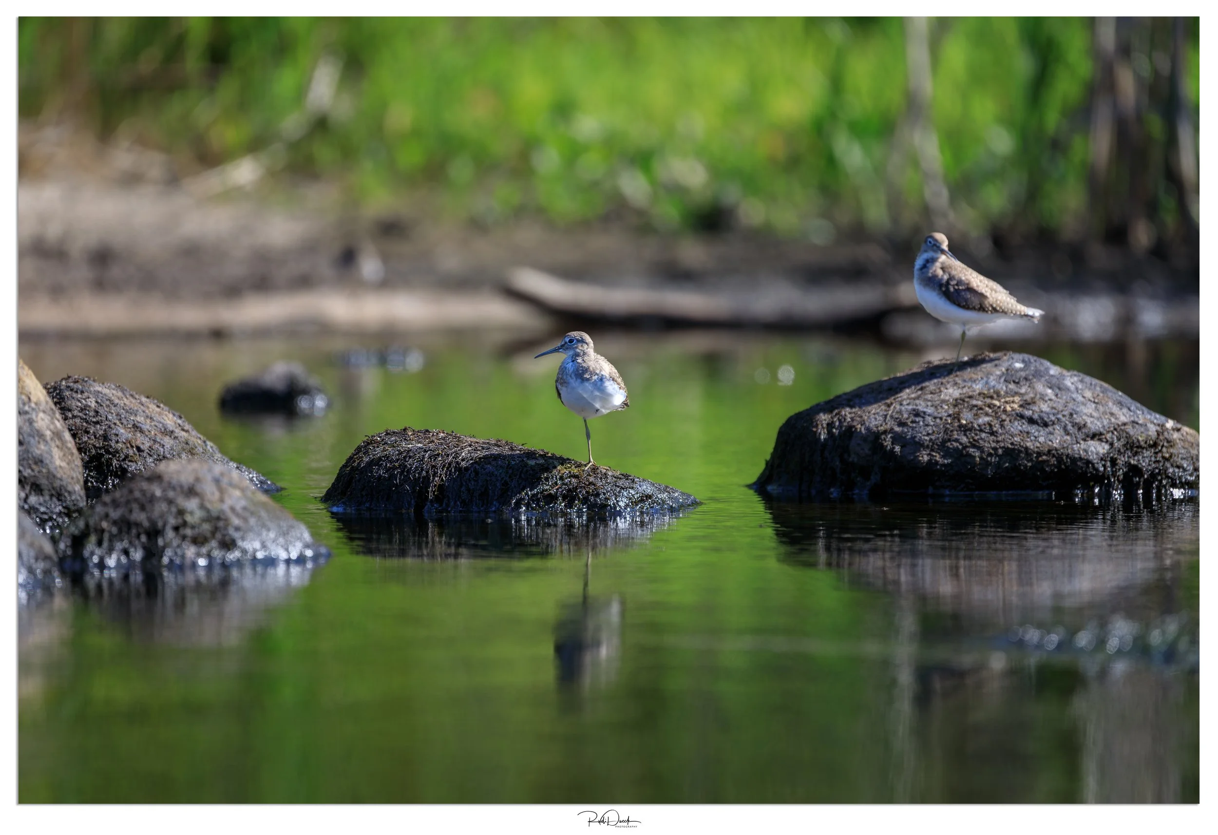_UDI2651-Edit.jpg